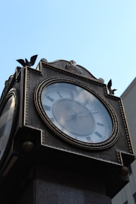 A vintage clock with Roman numerals is mounted on a decorative metal structure. The clock displays three clock hands and is topped with ornamental features including small sculptures of birds. The background is a clear blue sky.
