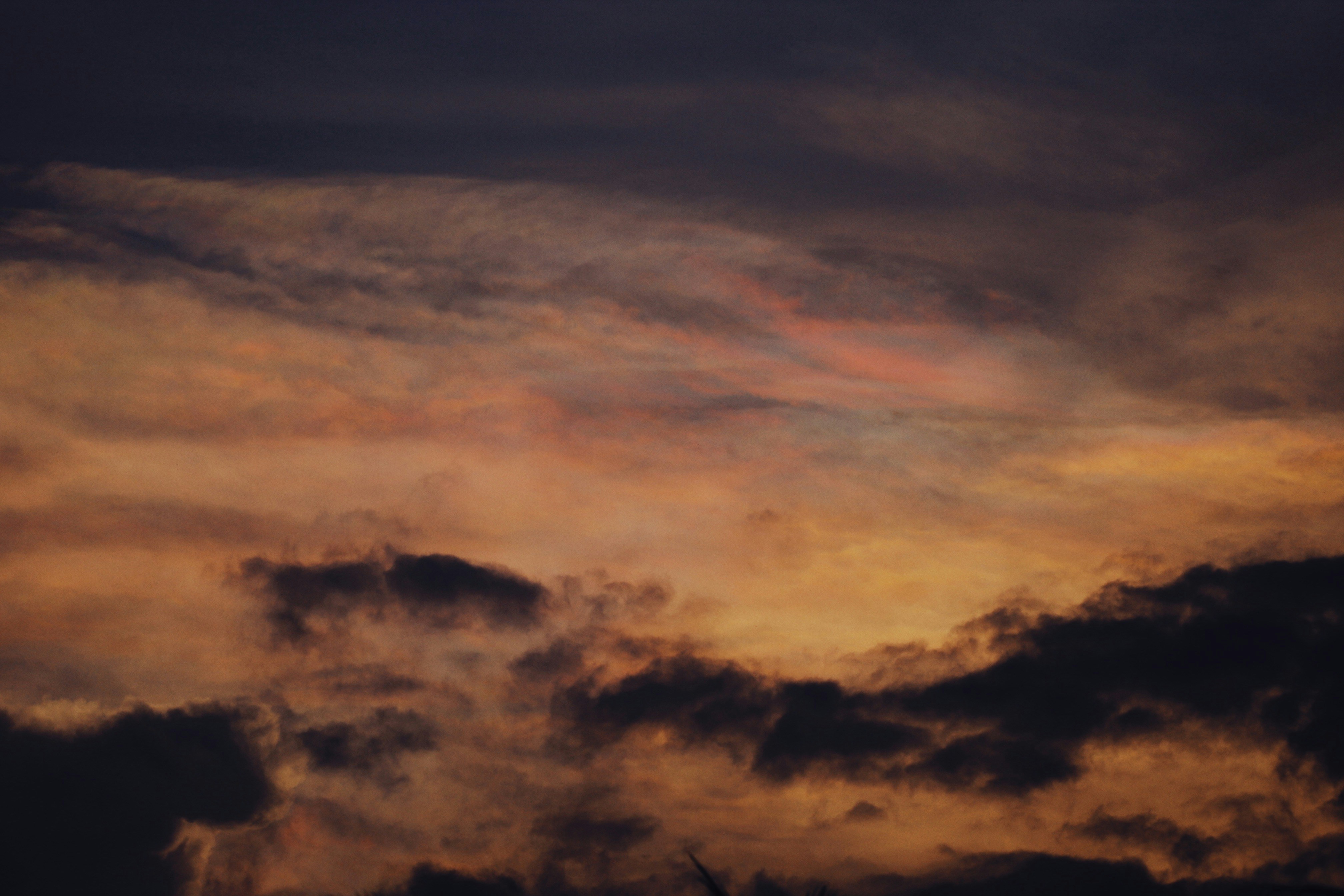 Photo by alexeydemidov