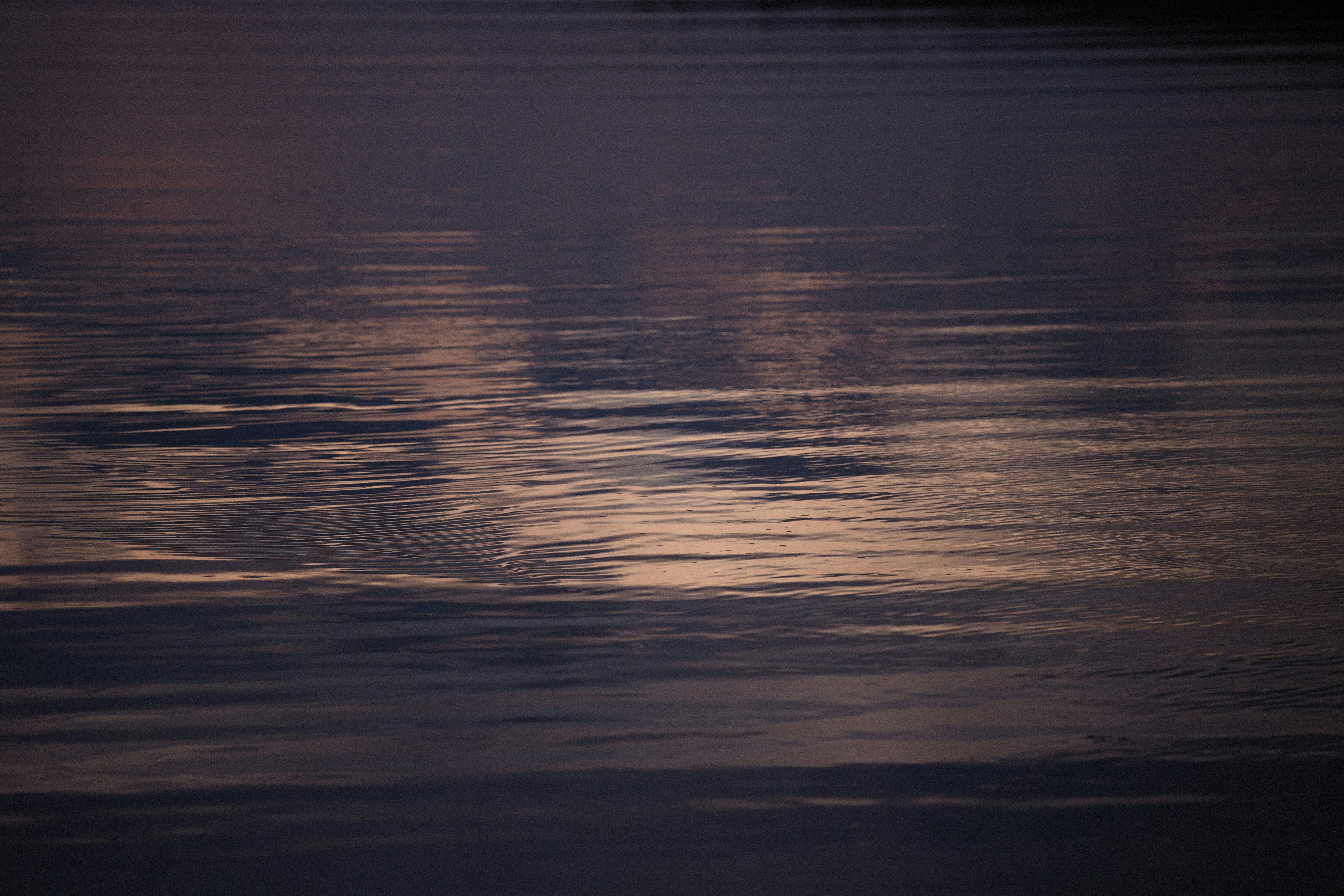 Photo by alexeydemidov