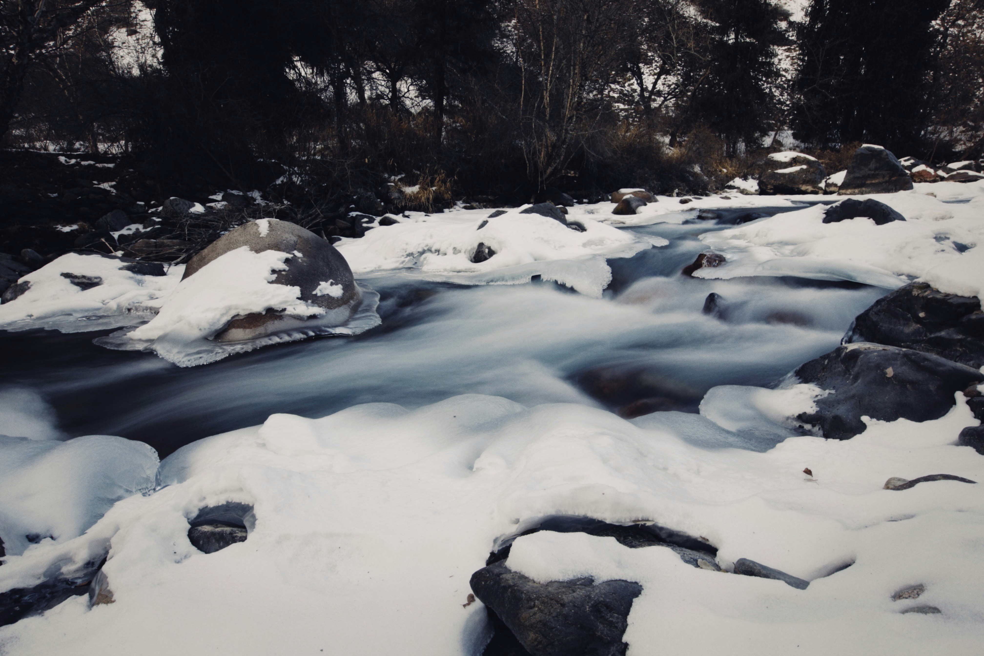 Photo by alexeydemidov