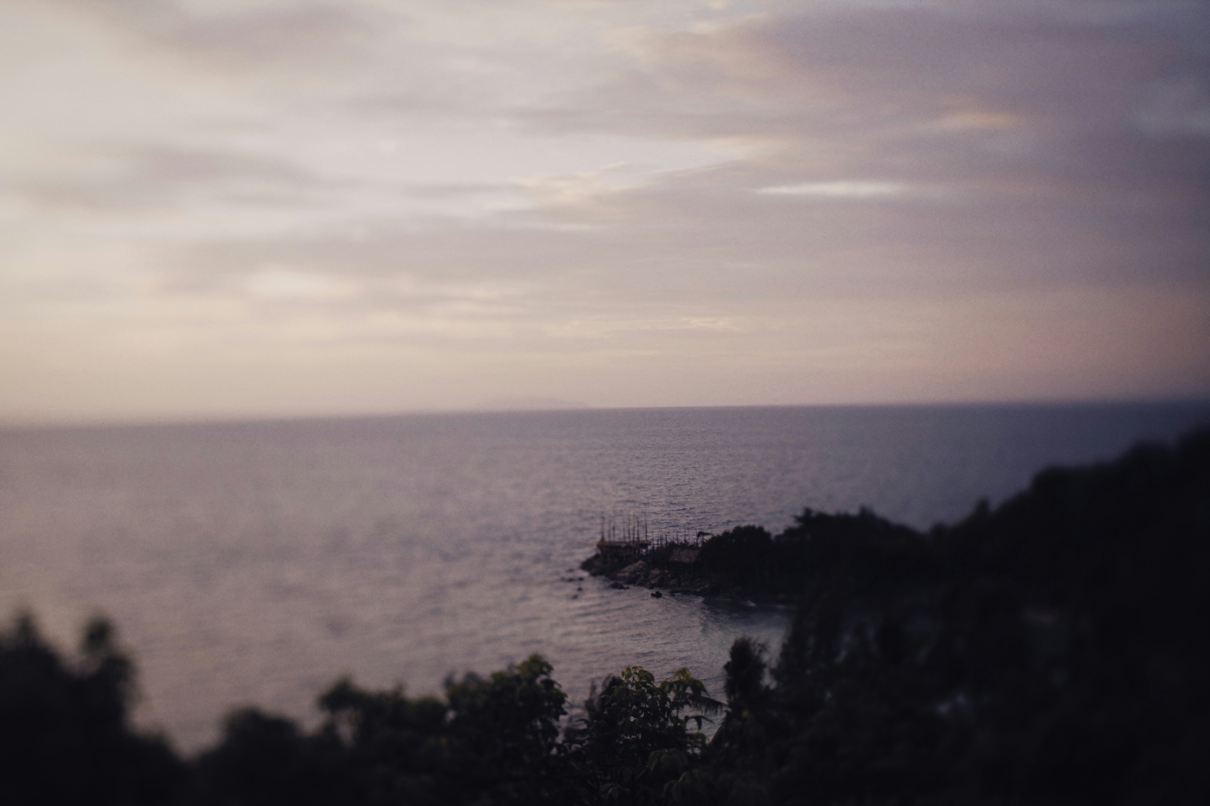 Photo by alexeydemidov