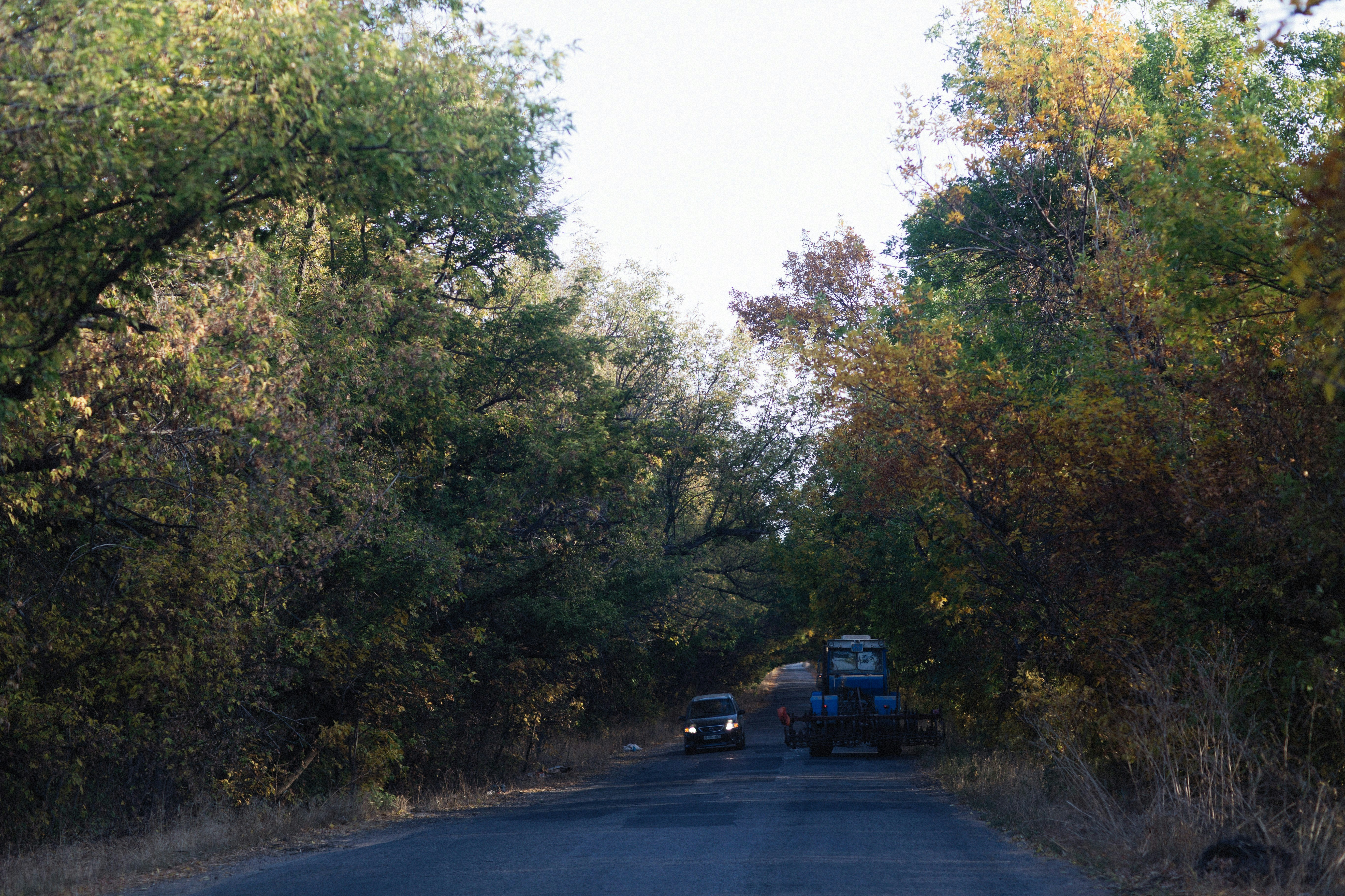 Photo by alexeydemidov