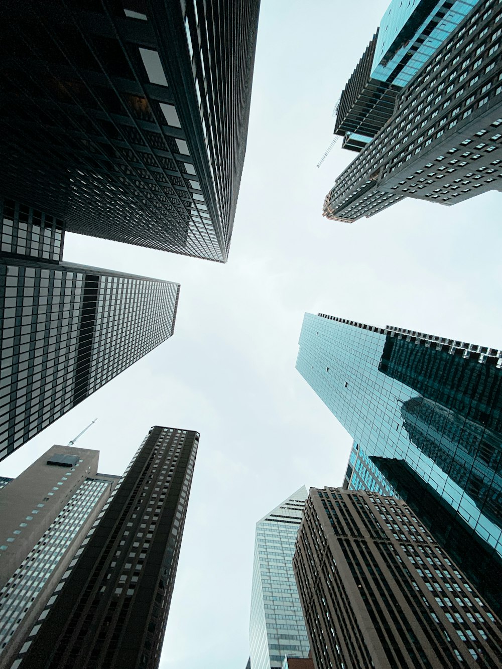 looking up at tall buildings in a city