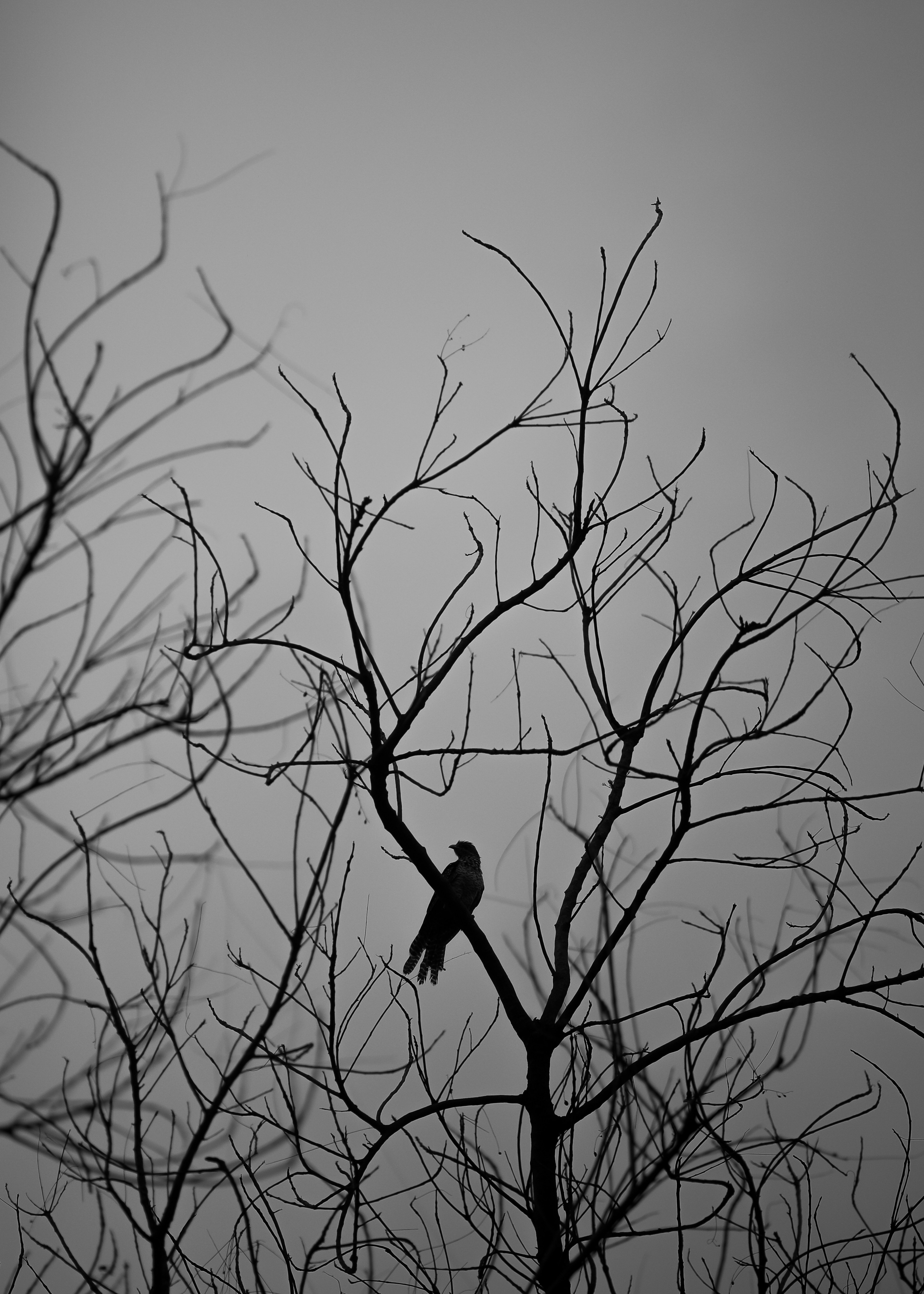 Photo by justaclick_24