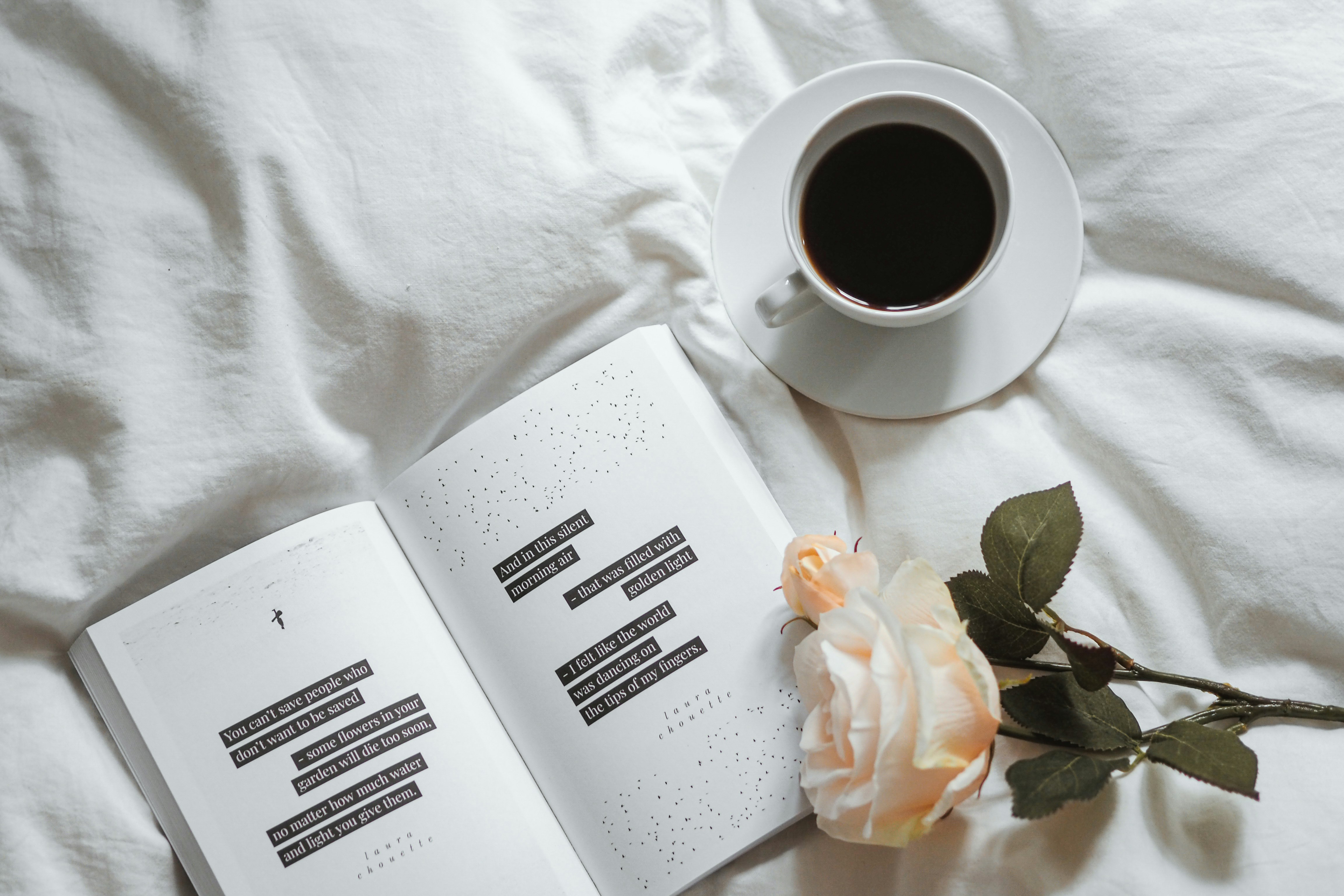 Photo by laurachouette