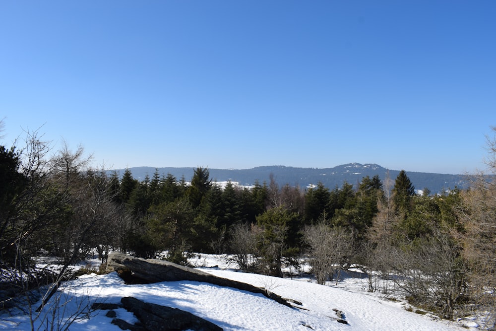 Blick auf einen verschneiten Berg mit Bäumen und Bergen im Hintergrund