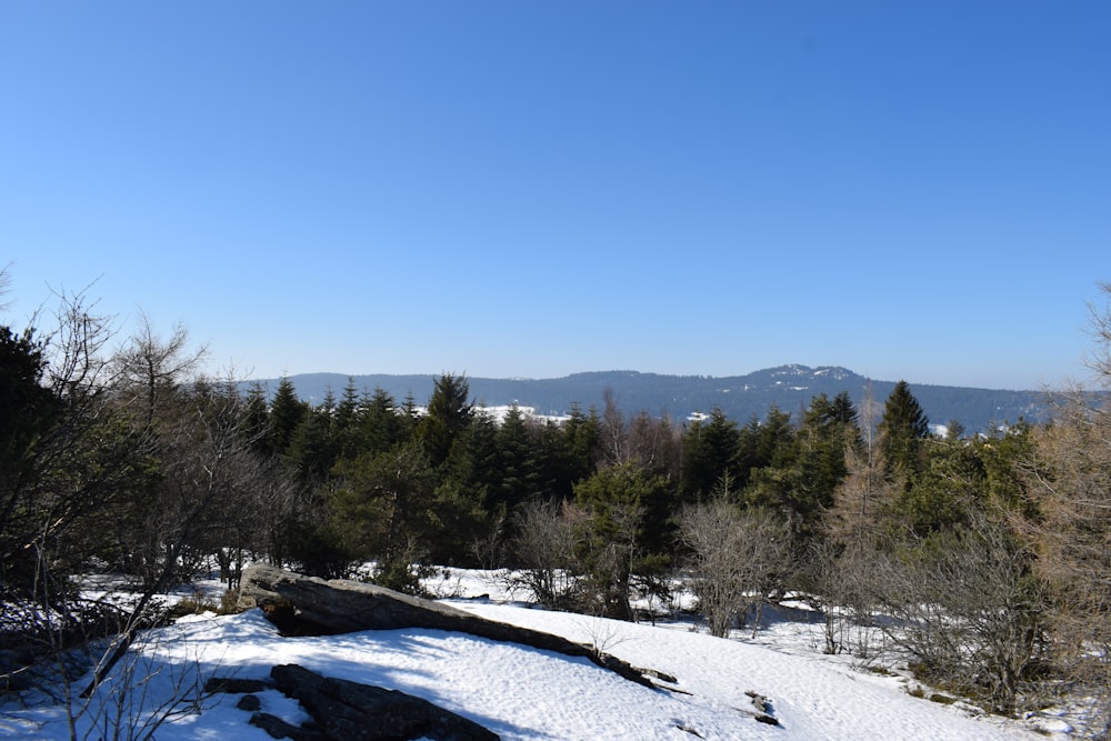 a view of a snowy mountain with trees and mountains in the background