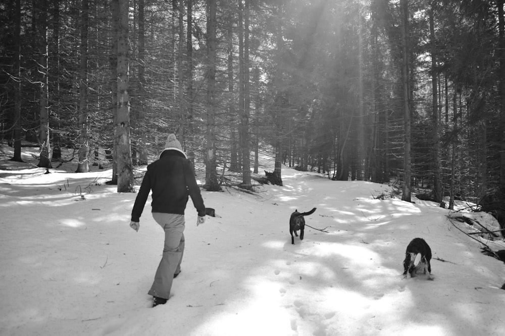 Eine Person, die mit zwei Hunden im Schnee spazieren geht