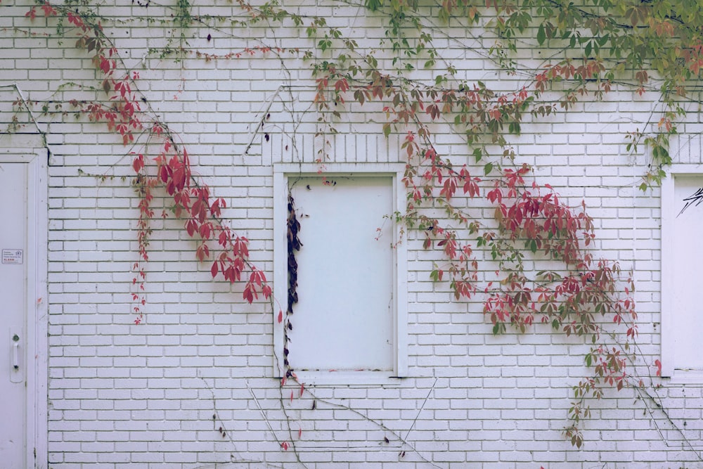 a white brick building with a white door and window