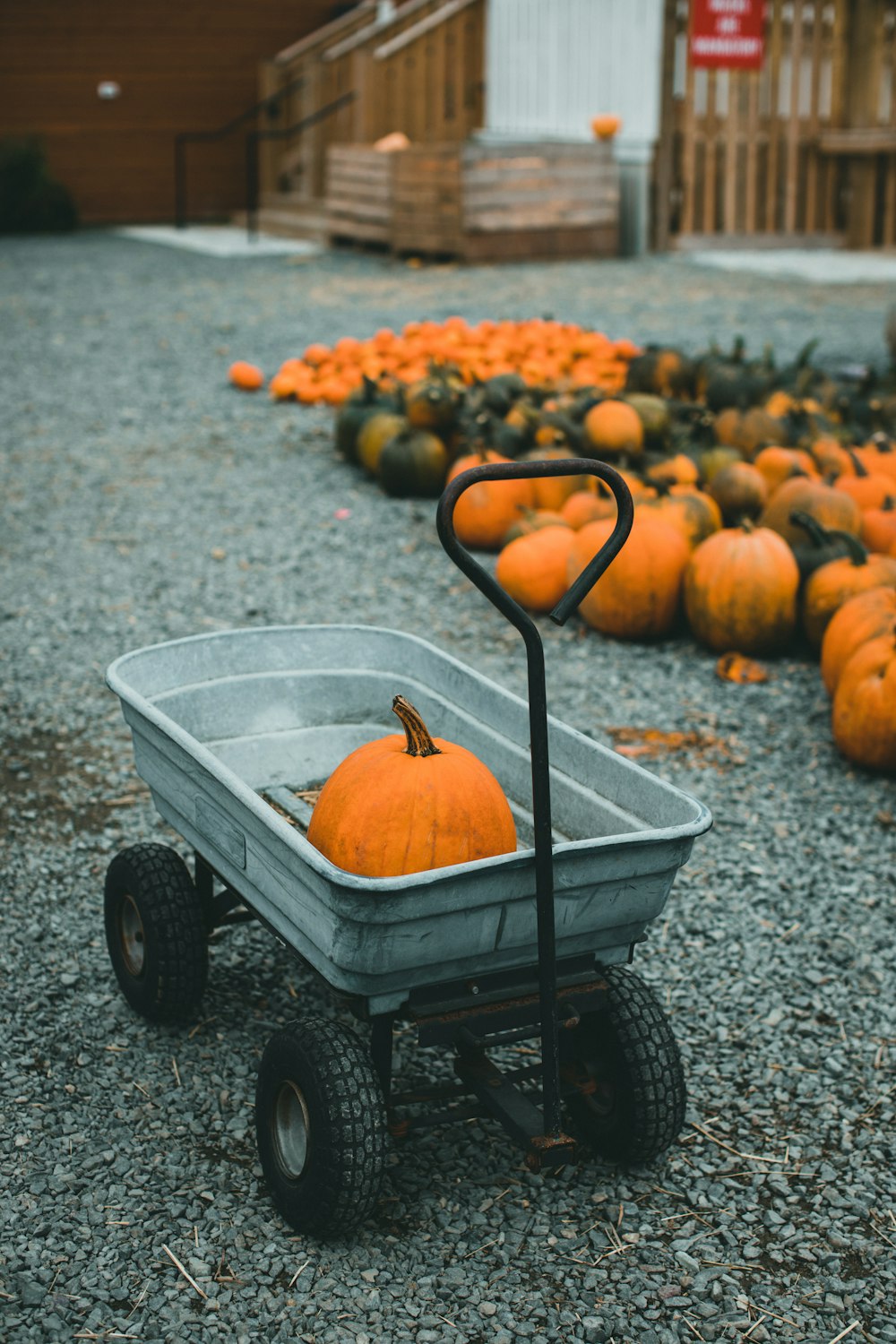 a wheelbarrow filled with lots of pumpkins