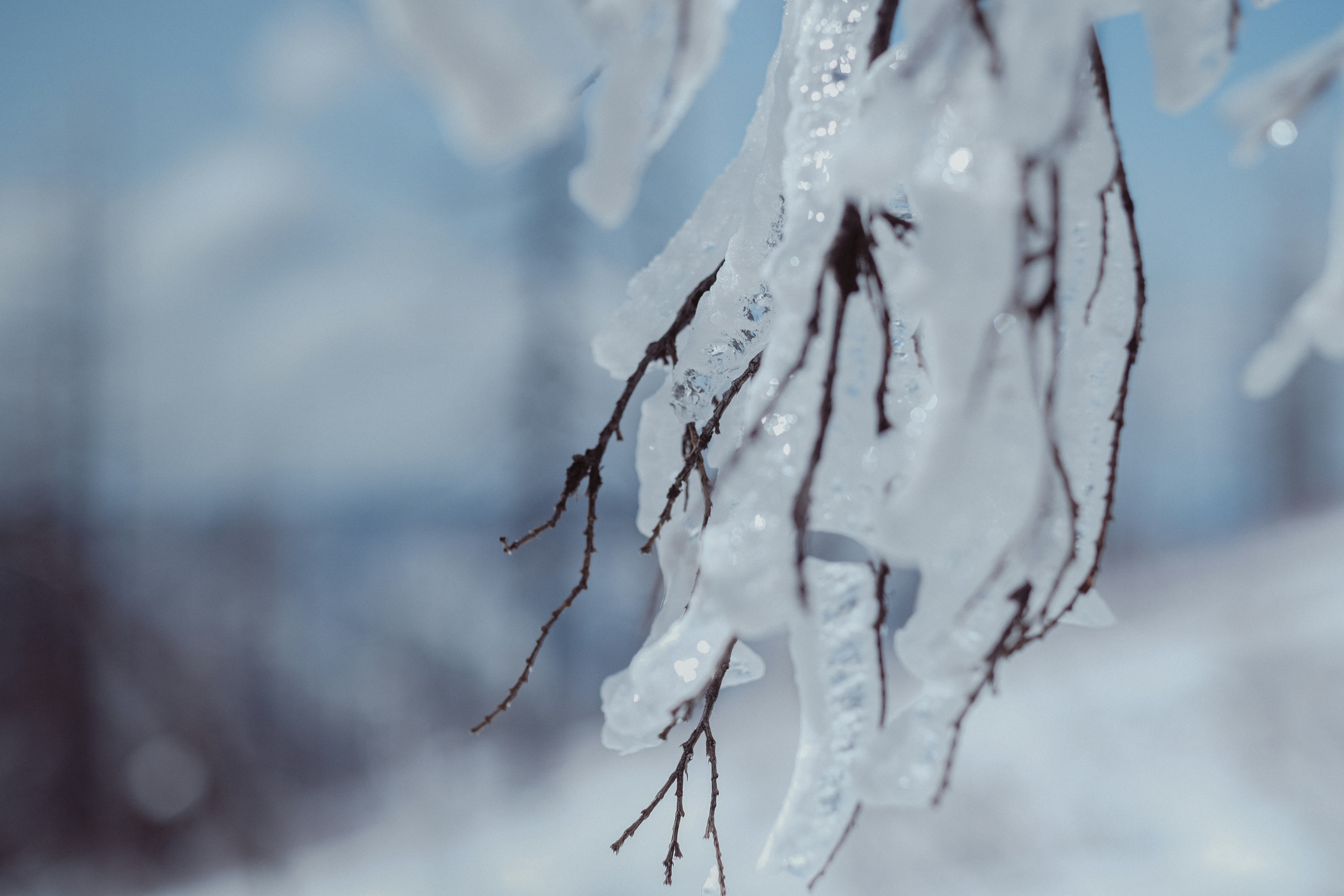 Photo by kalaniparker