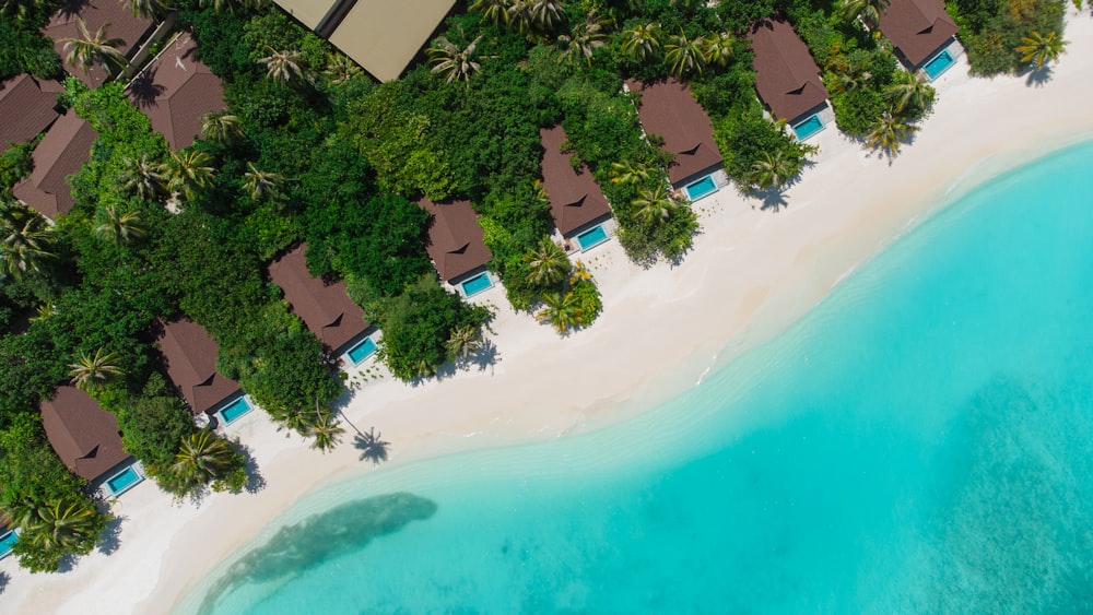 Une vue plongeante d’une plage et d’un centre de villégiature