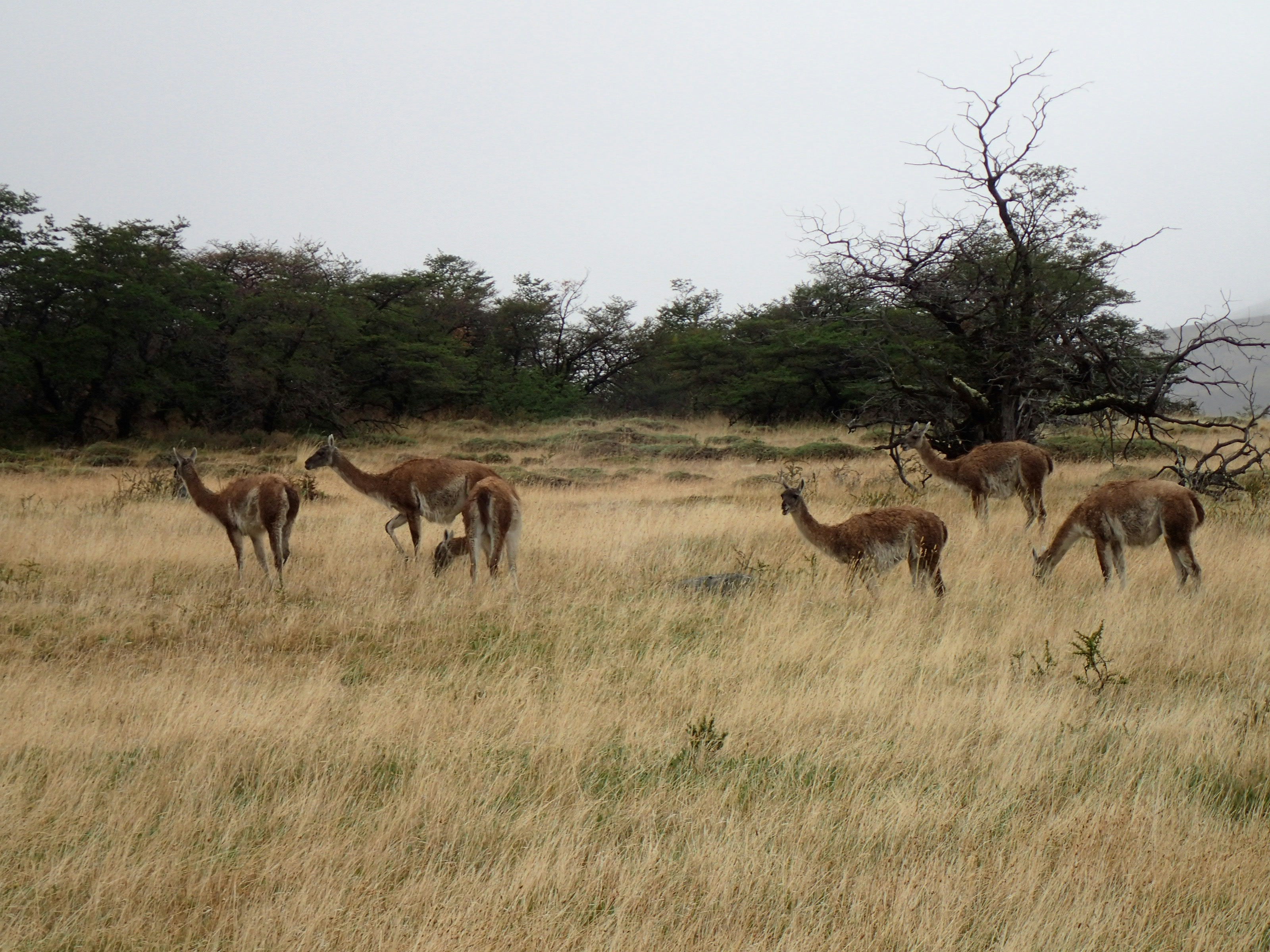 Photo by thiagorobert