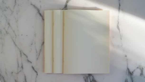 Elegant hardcover book resting on a clean white surface with soft sandstone light.