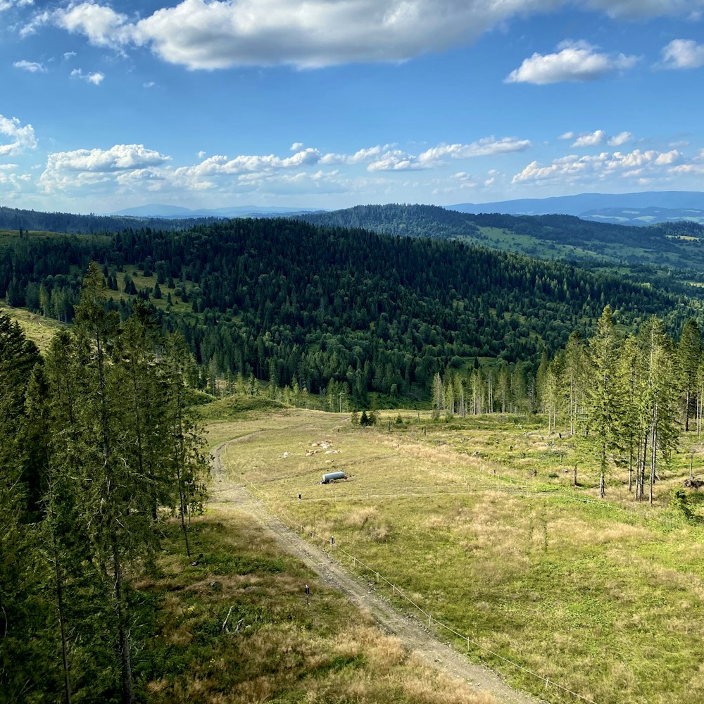 a grassy field with a dirt road in the middle of it