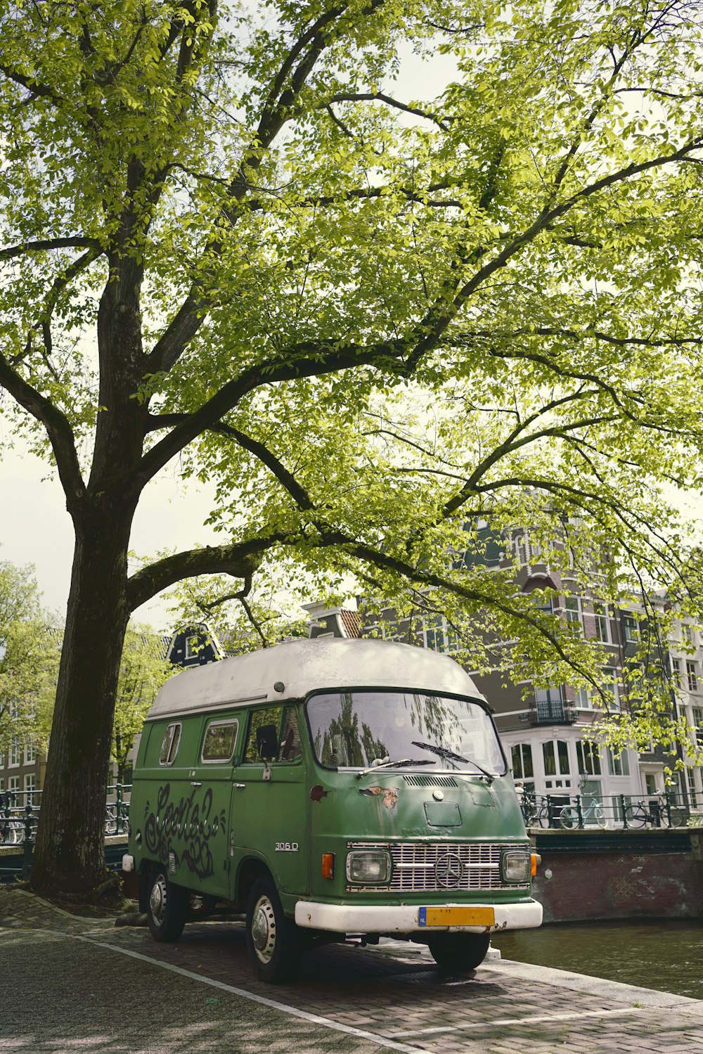 a bus driving down a street next to a tree