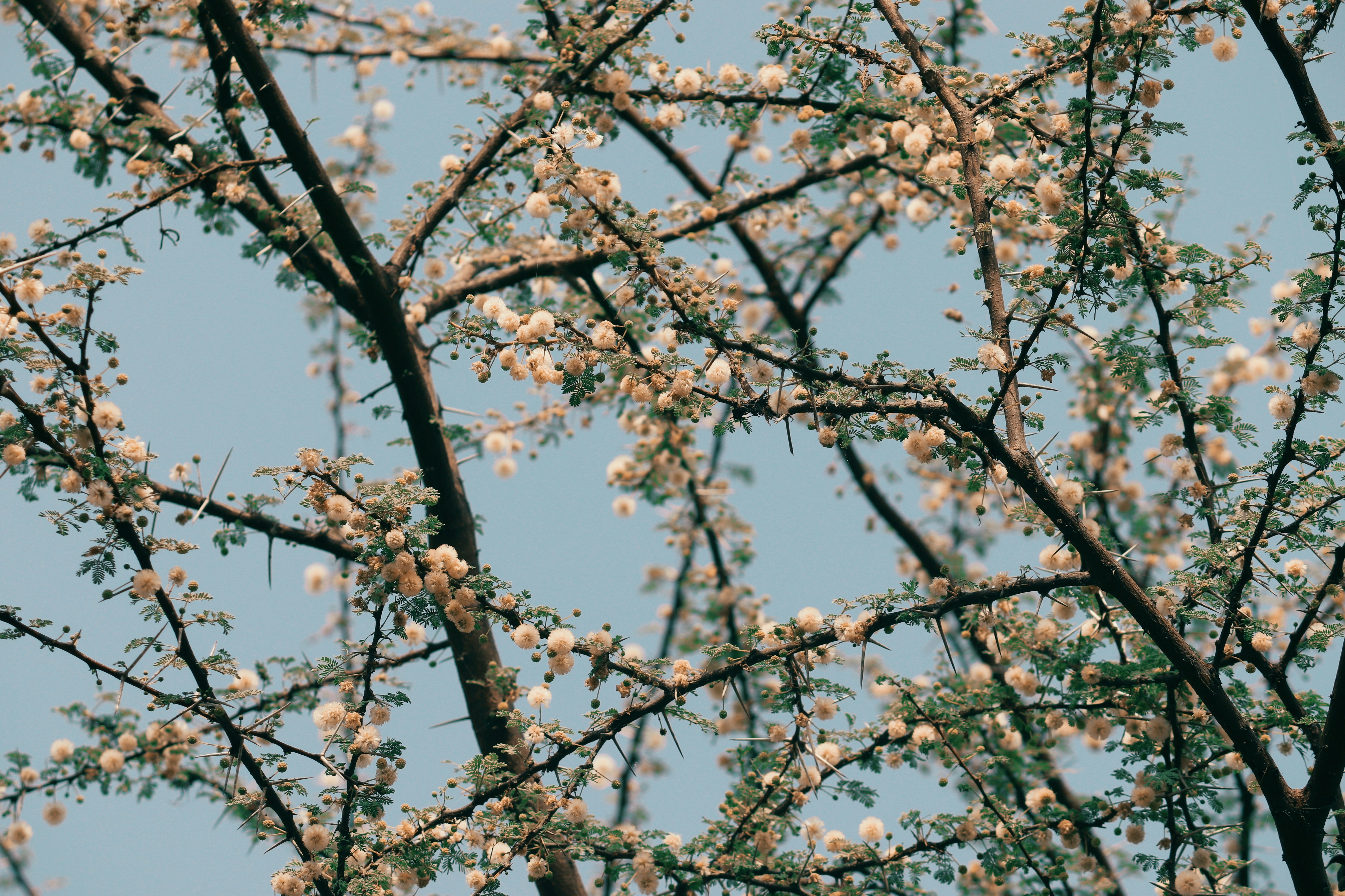 Photo by reigniteshots