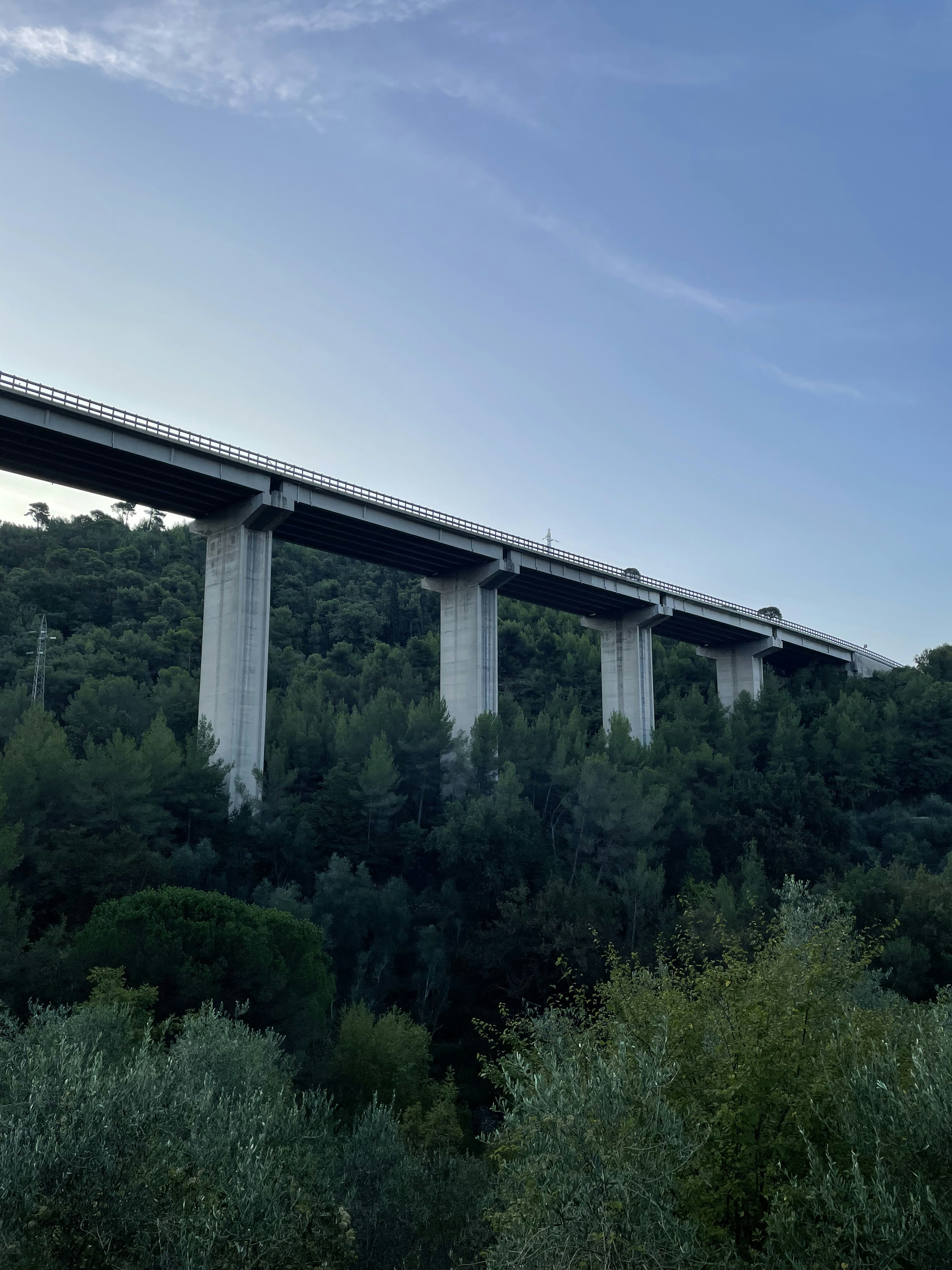 Ponte Scaligero photo 2