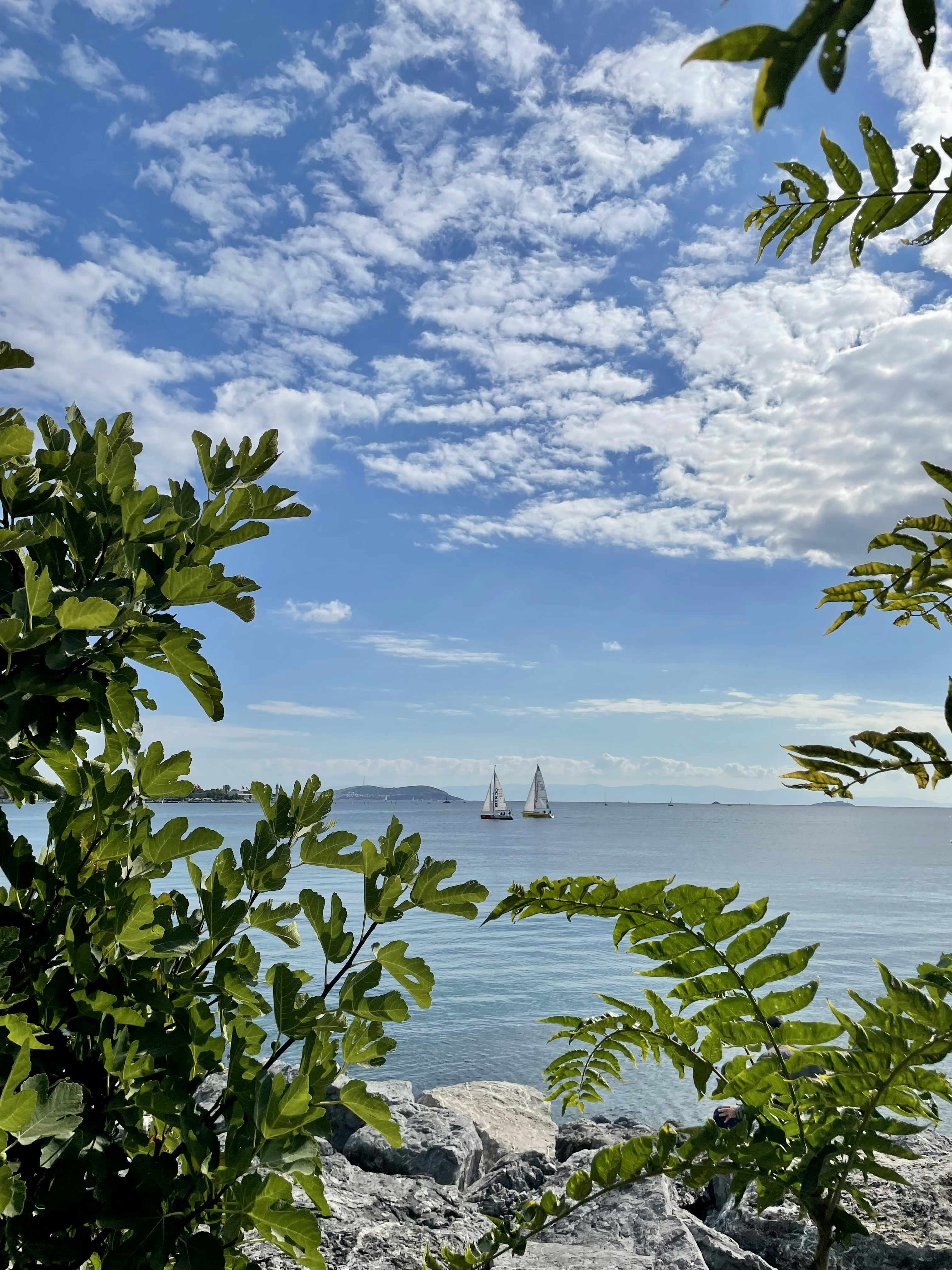 a view of a sailboat in the distance from a rocky shore