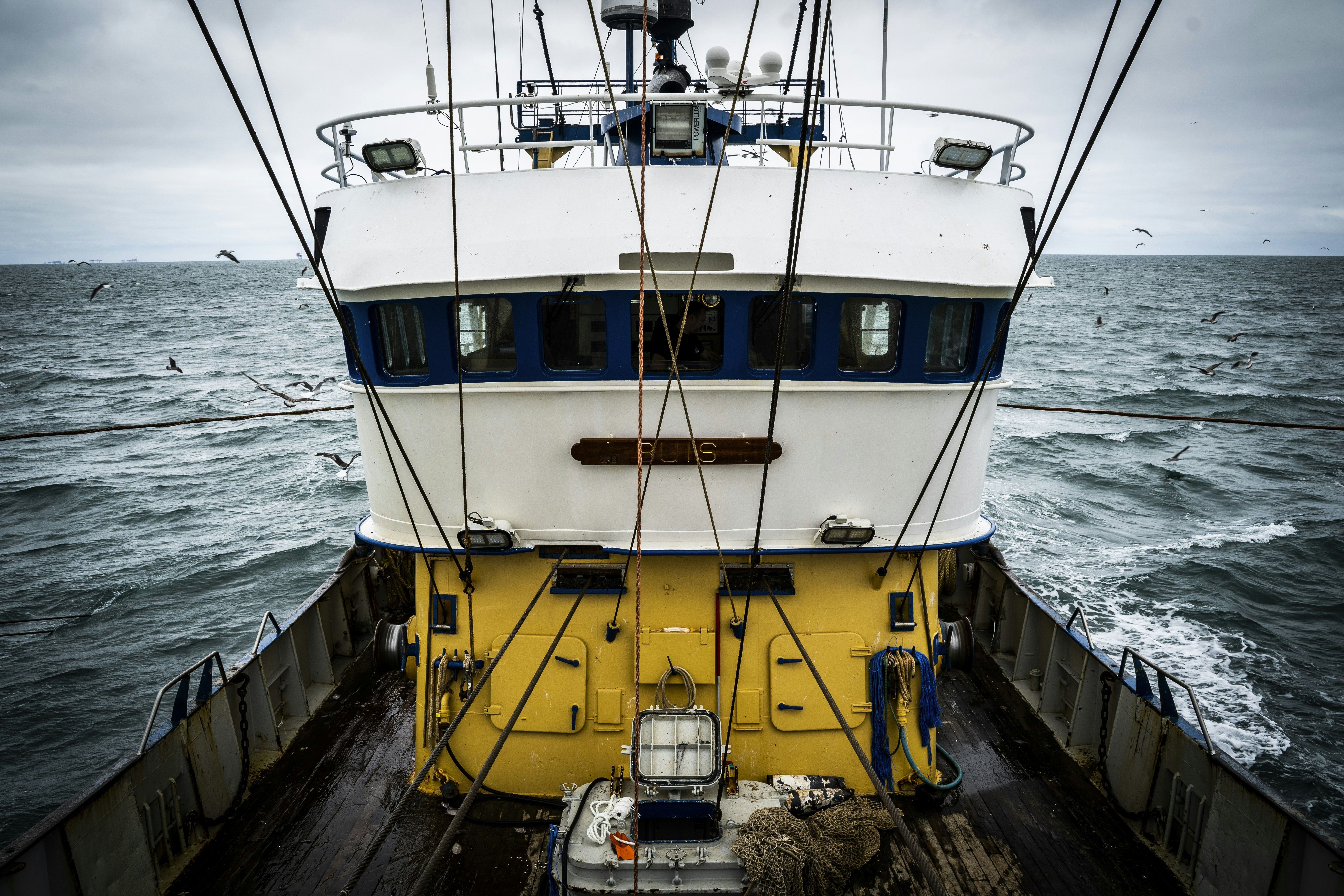 a white and blue boat in the middle of the ocean