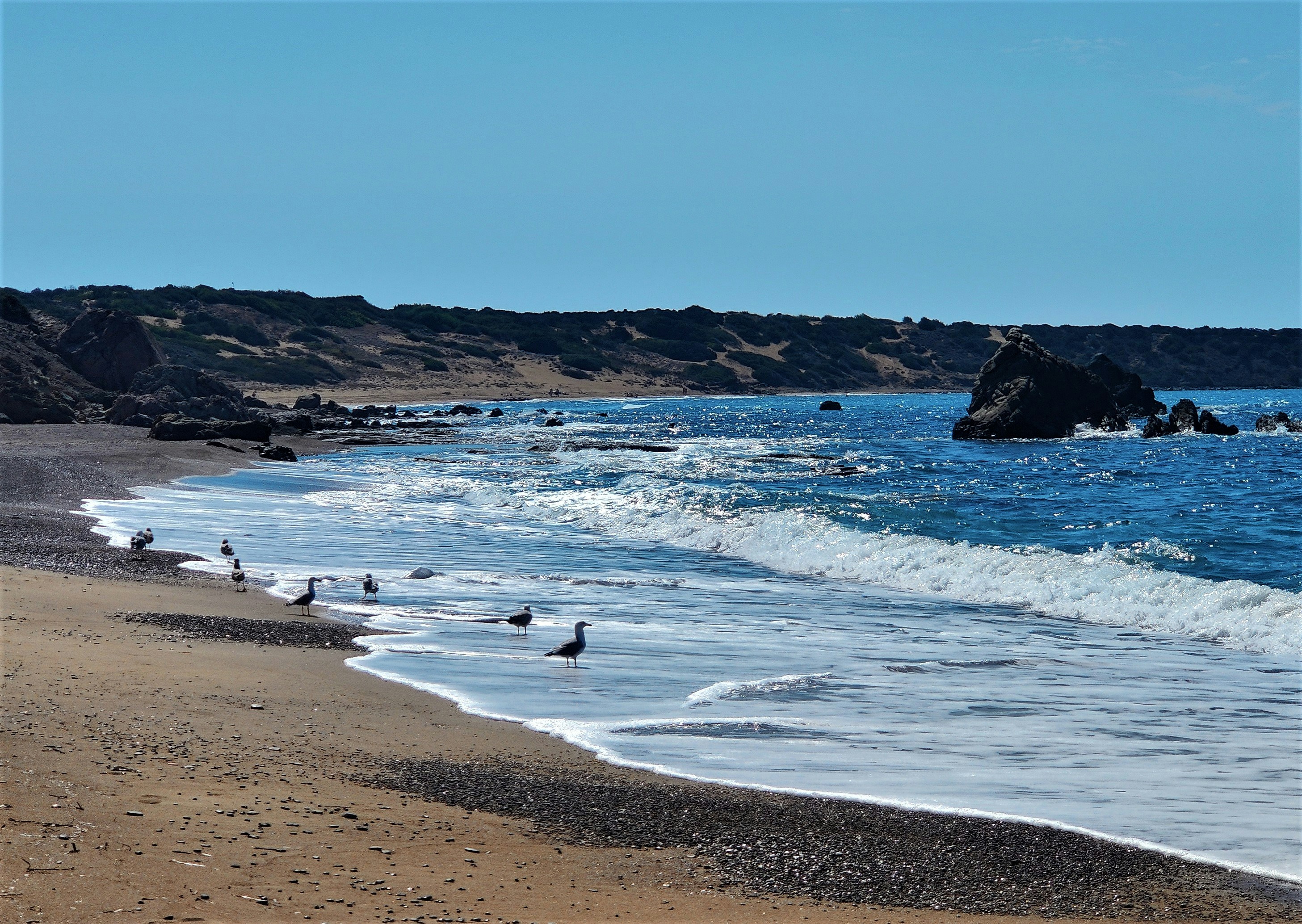 Photo by madmartigand