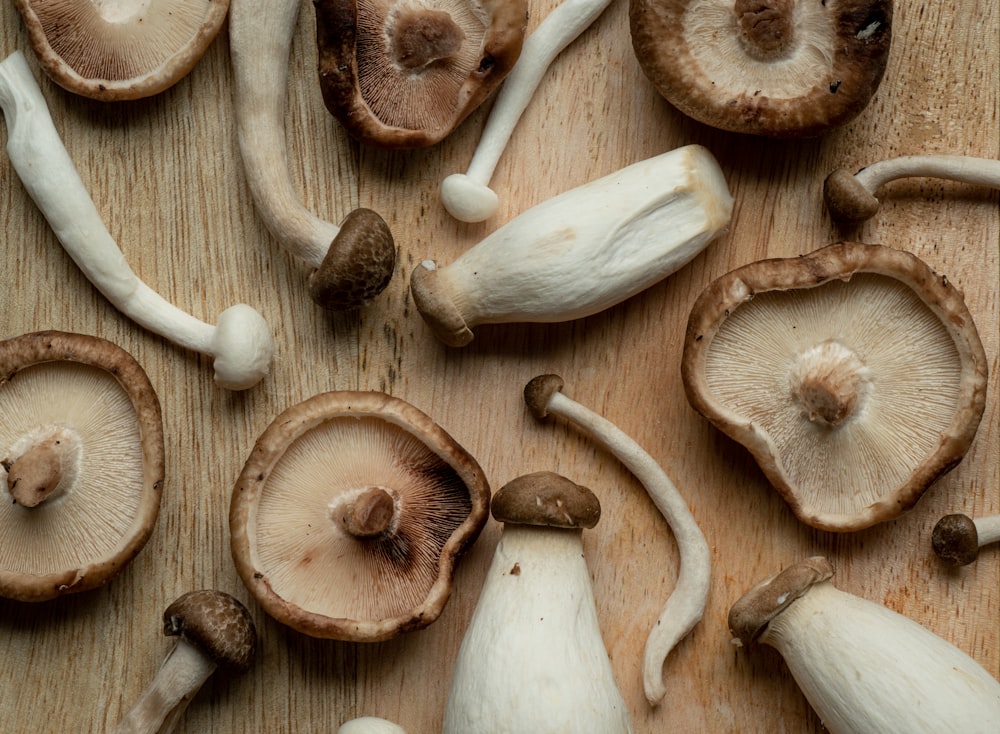 a bunch of mushrooms sitting on top of a wooden cutting board
