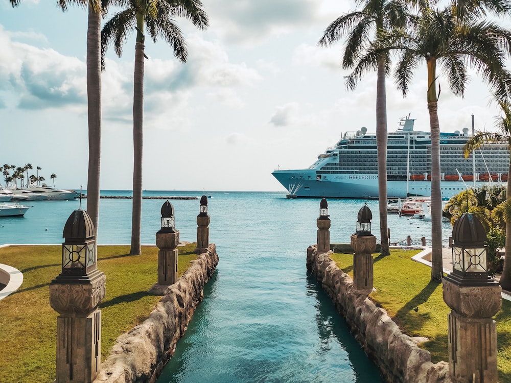 a cruise ship is in the water near palm trees