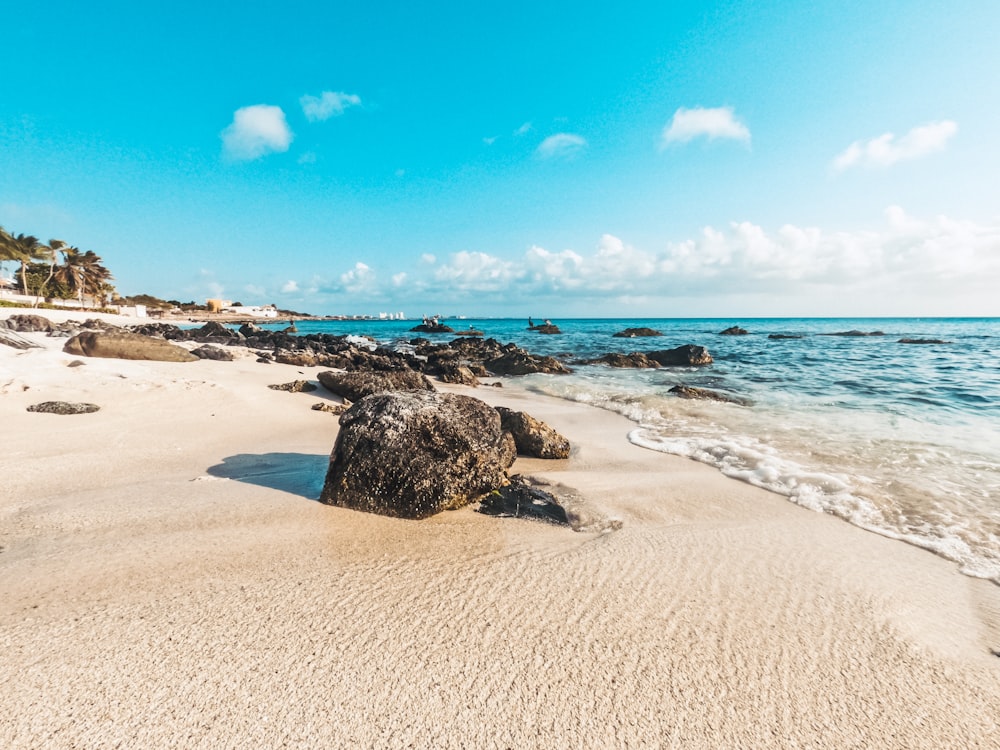 a sandy beach with rocks and water on a sunny day