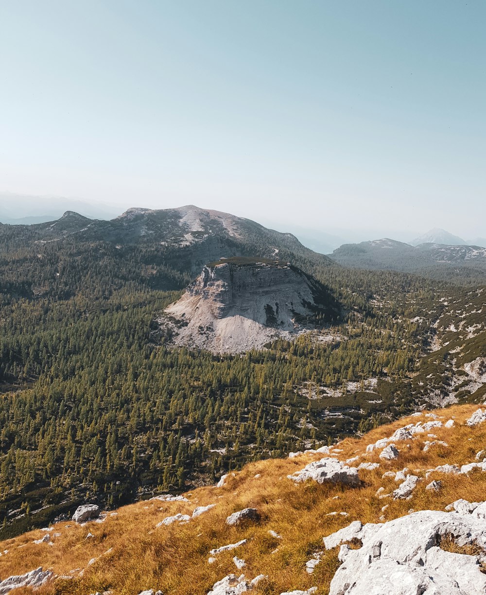 a view of a mountain range with trees in the foreground