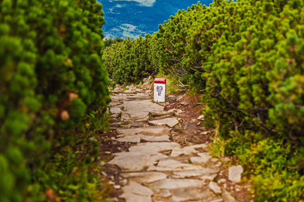 a stone path with a sign in the middle of it