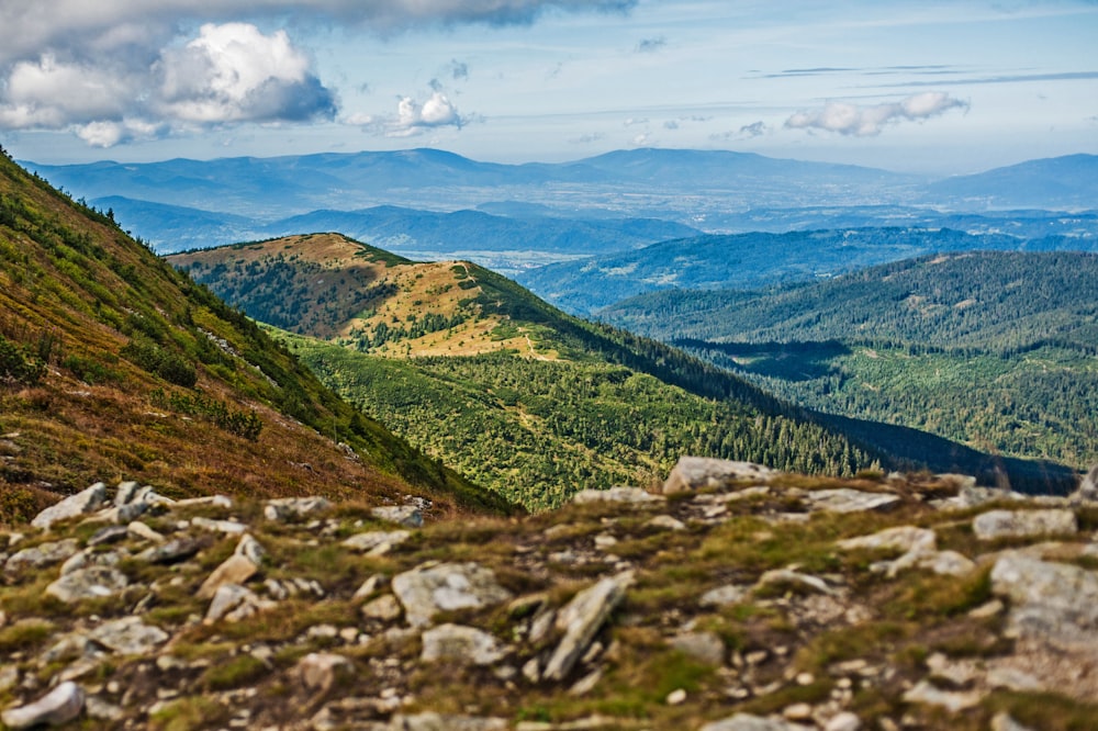 une vue d’une chaîne de montagnes avec des rochers et de l’herbe