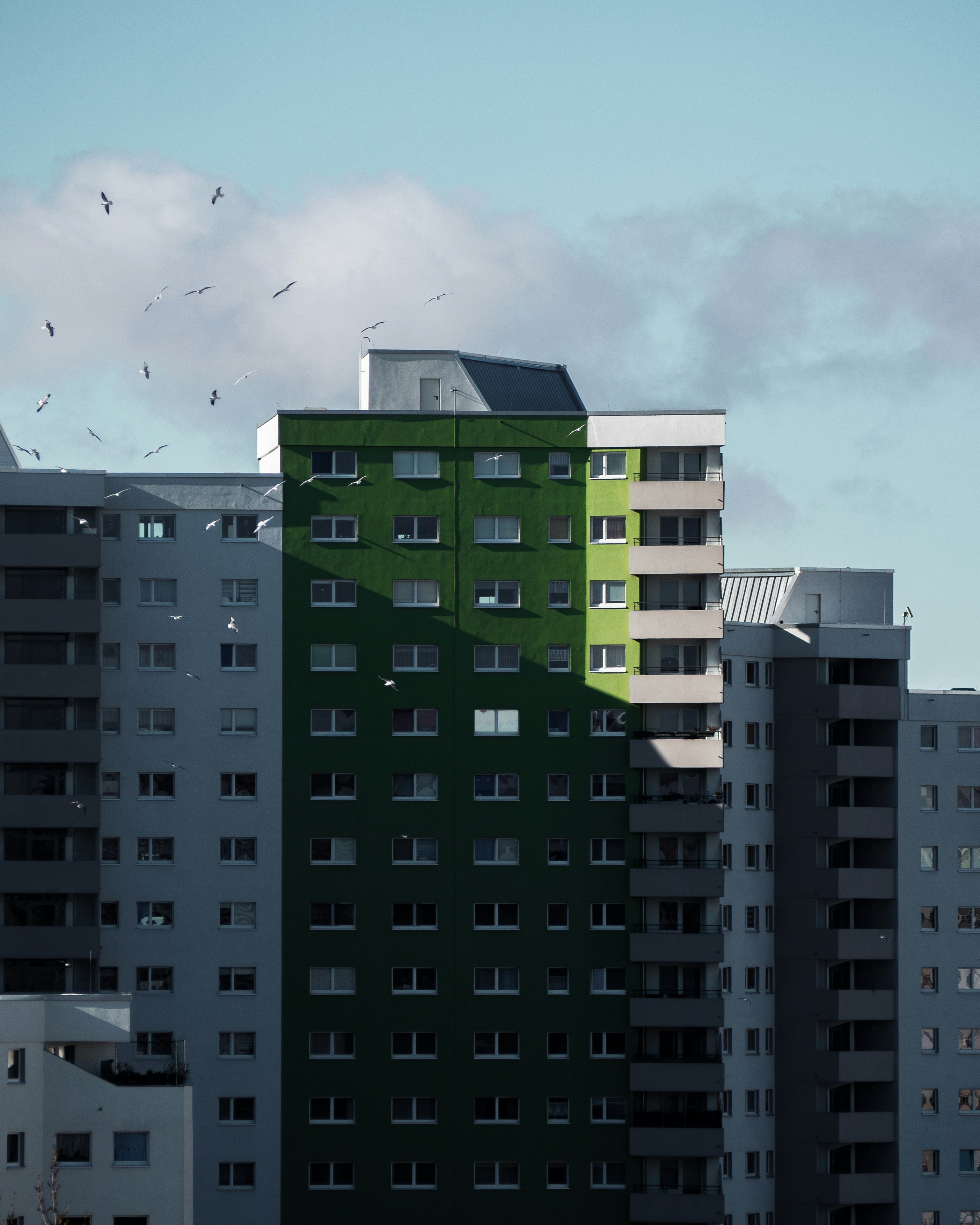 A green building with birds flying around it photo – Free Berlin Image ...