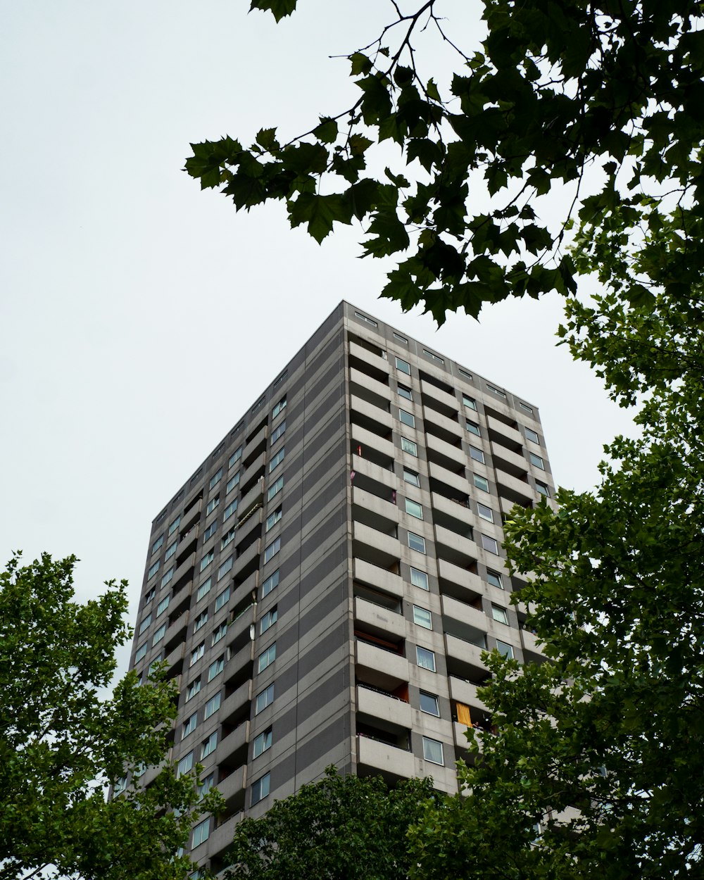 a tall building with lots of windows next to trees