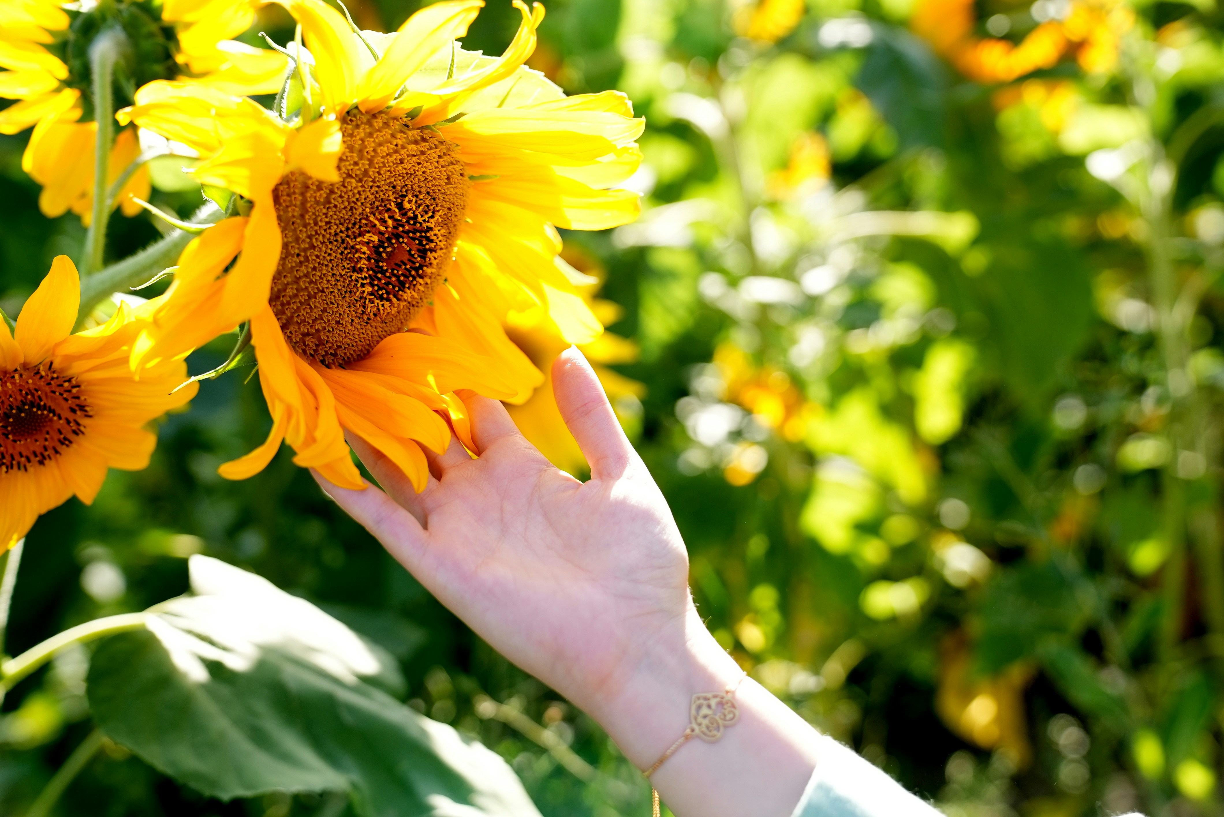 Photo by rafieeartist