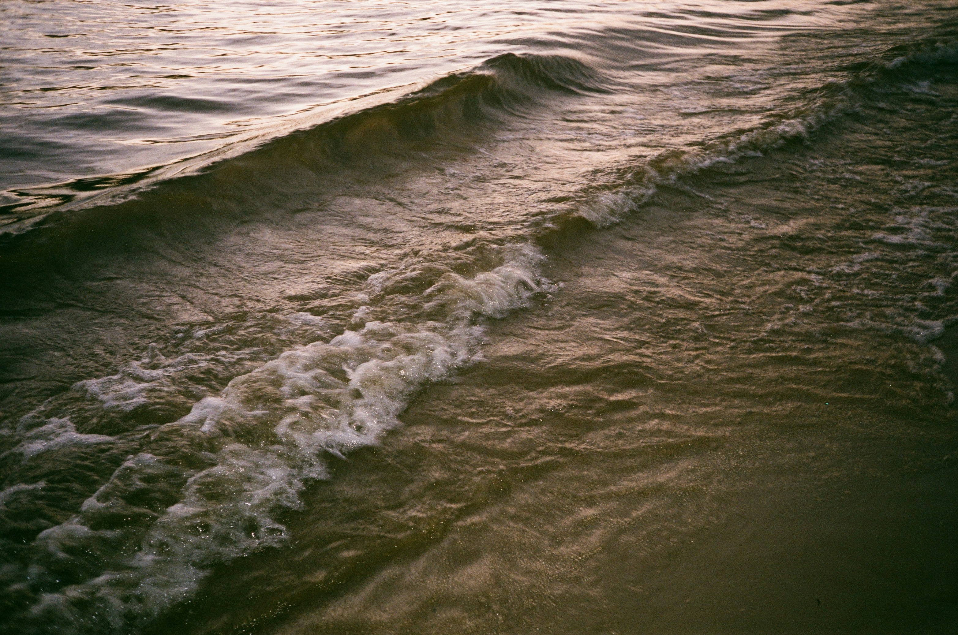 Photo by zhashkevych