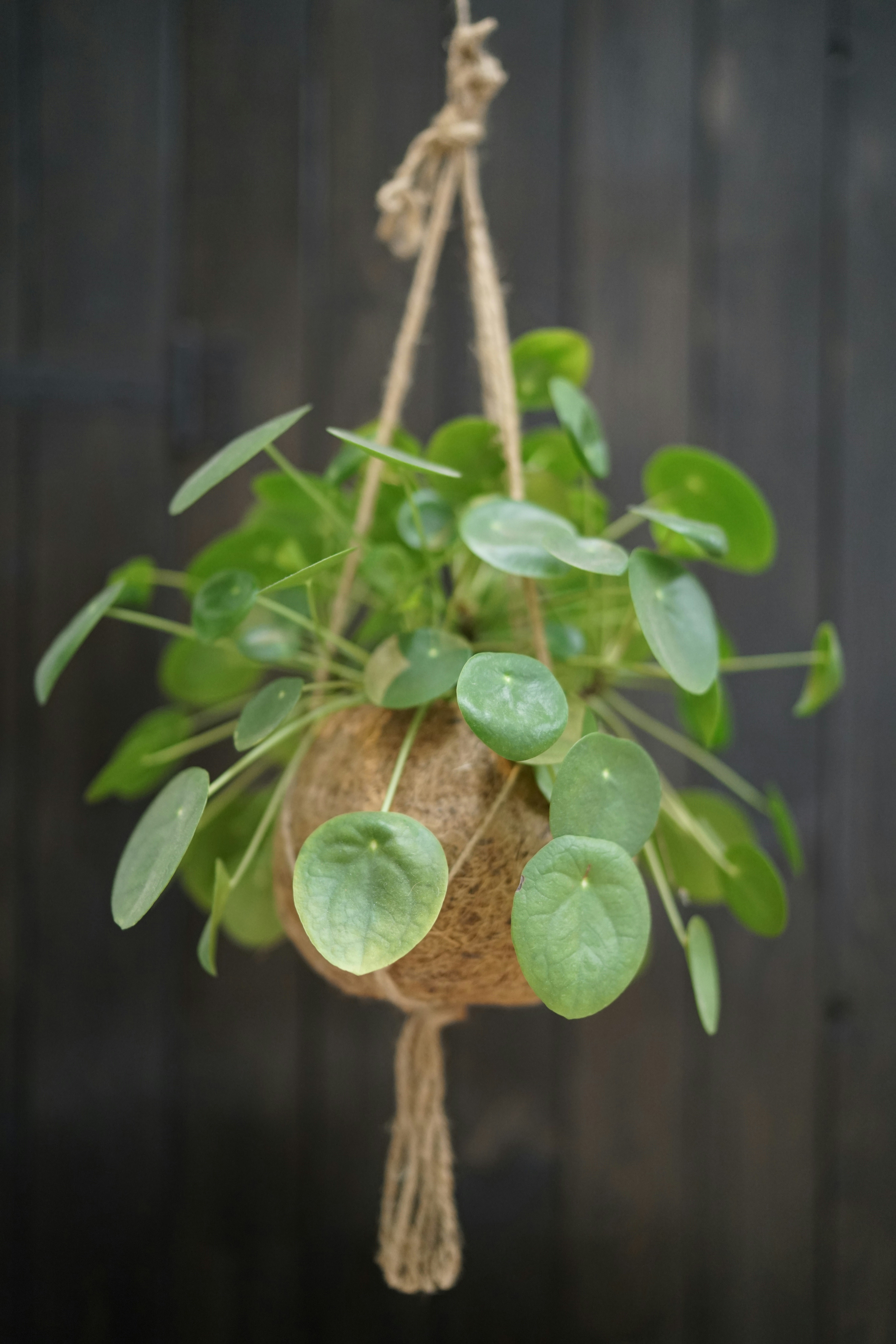 Photo by heinemann_homestaging