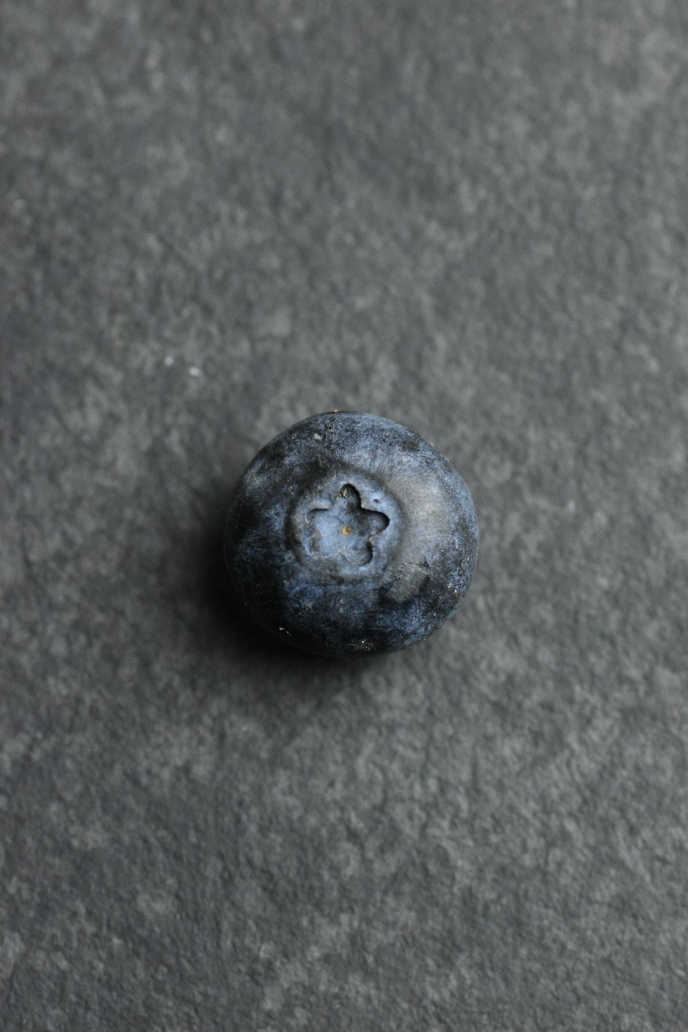 a close up of a blueberry on the ground