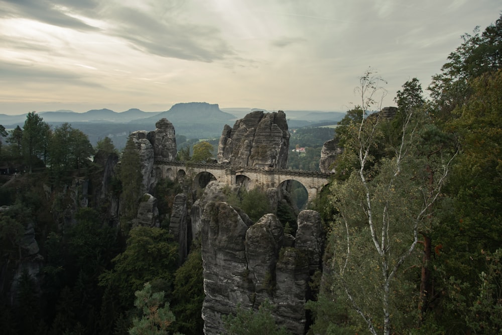 uma ponte de pedra sobre um cânion cercado por árvores