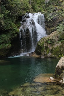 A serene waterfall cascading into a crystal-clear pool surrounded by lush greenery.