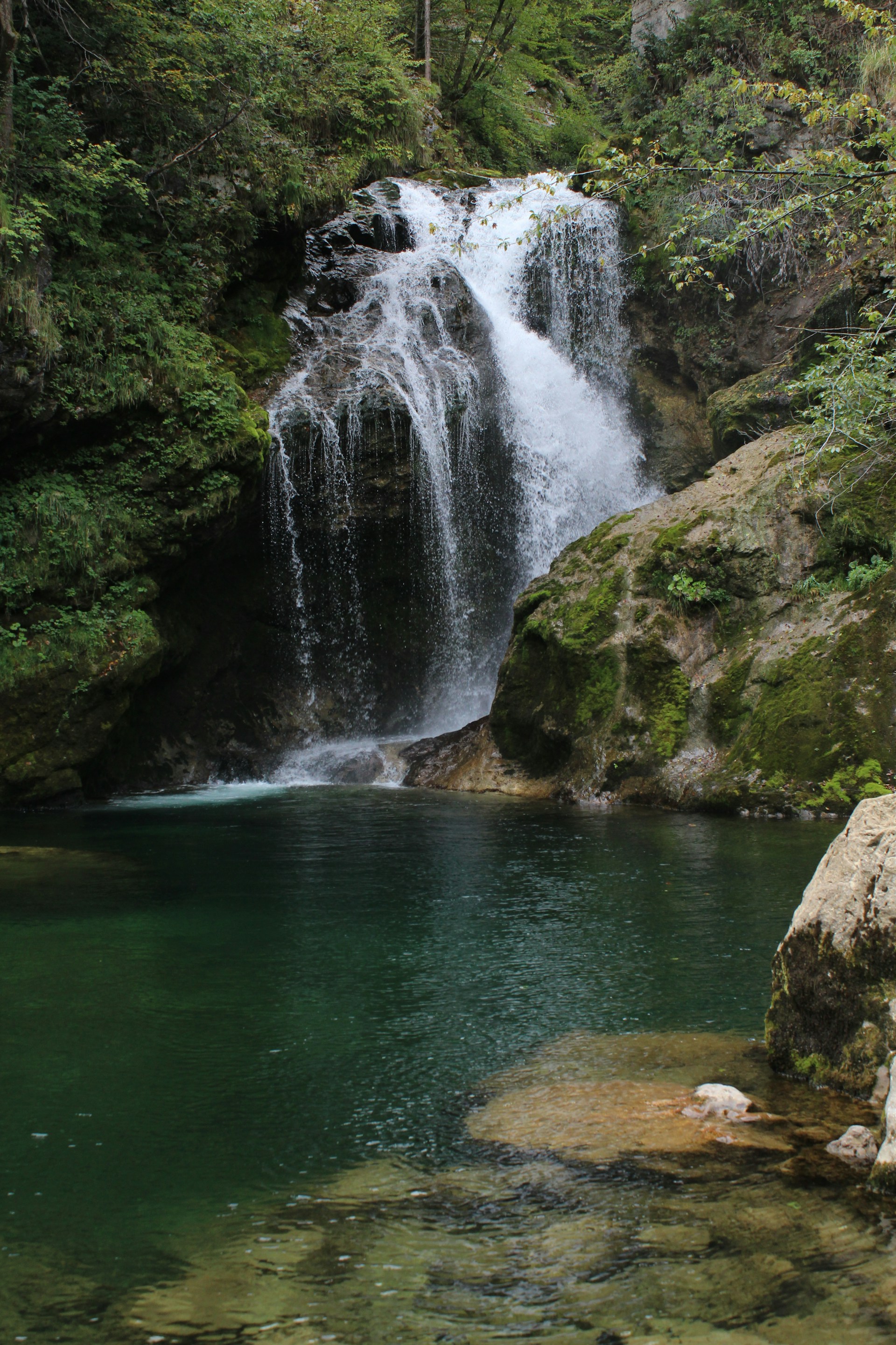 A serene waterfall cascading into a crystal-clear pool surrounded by lush ferns and moss-covered stones.