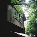 A serene Amazonian forest clearing where new wooden homes are being gently constructed by community members.