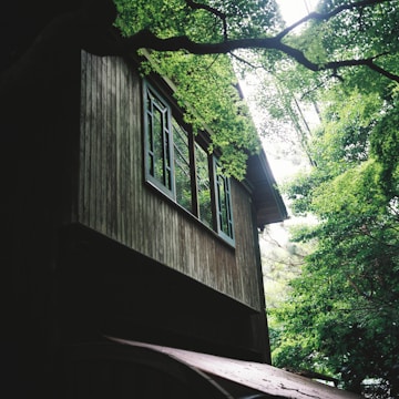 A serene Amazonian forest clearing where new wooden homes are being gently constructed by community members.