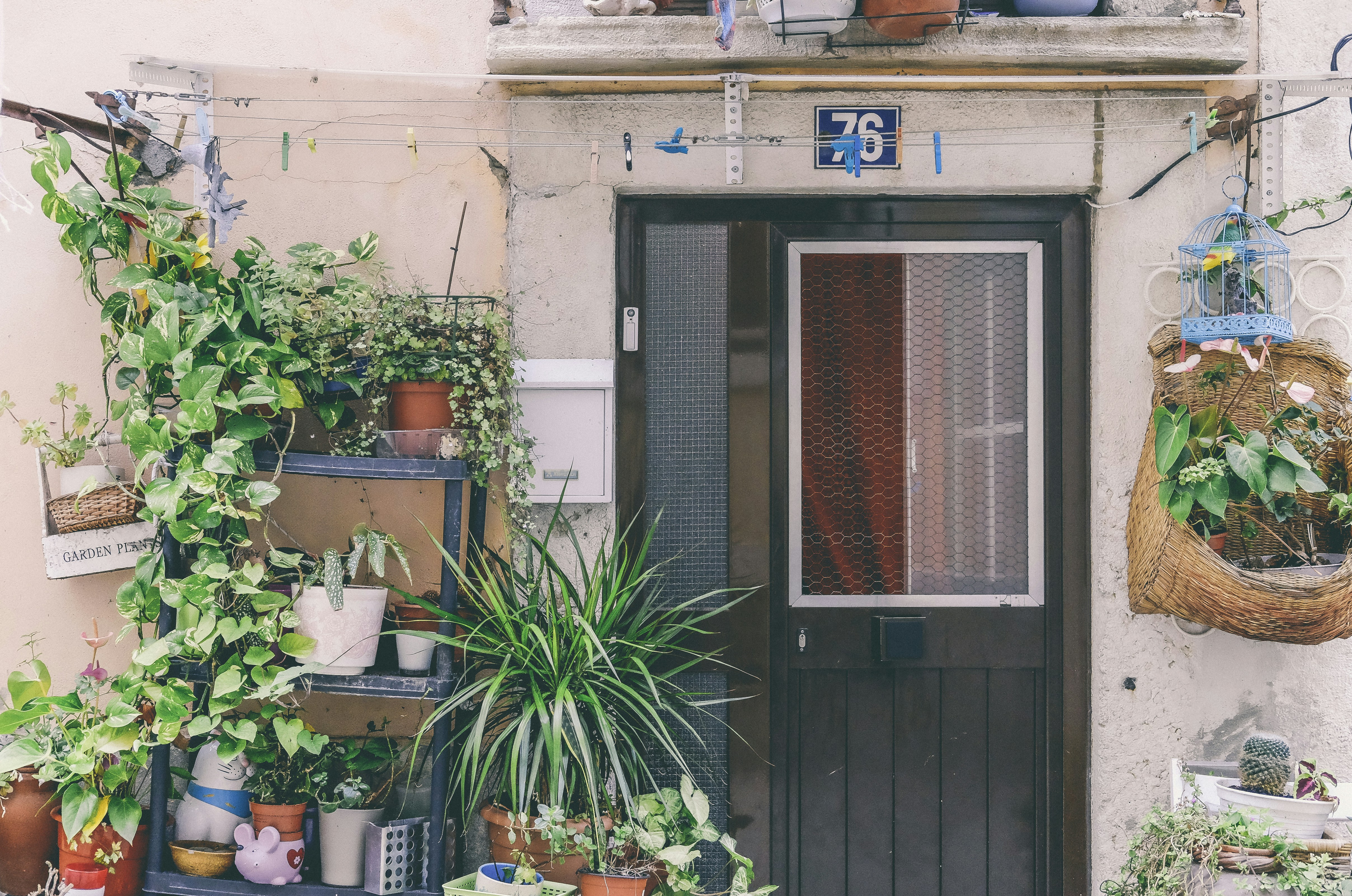 Photo by freguesiadeestrela