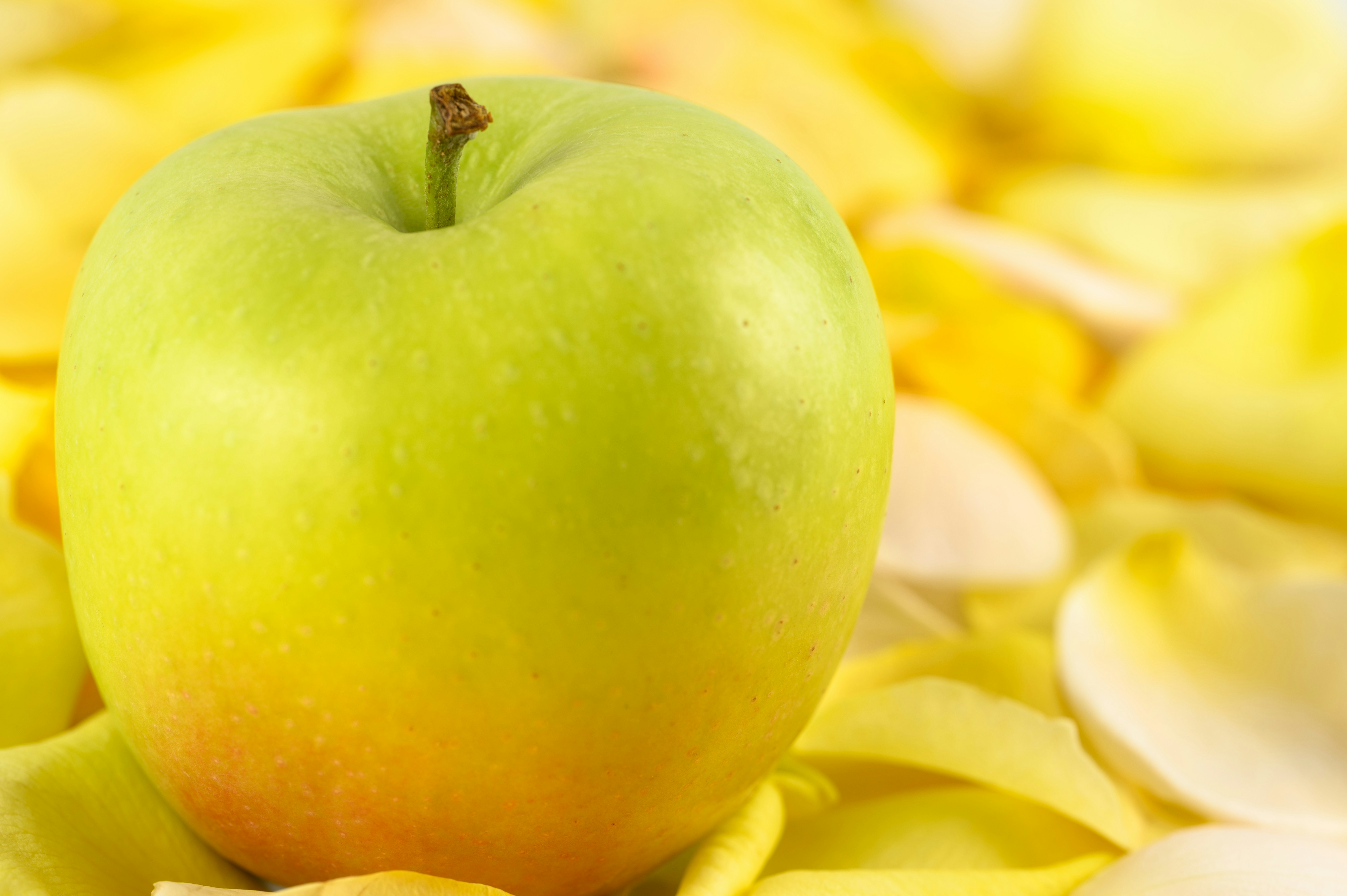 Evidence-Informed Practical Application Guidelines