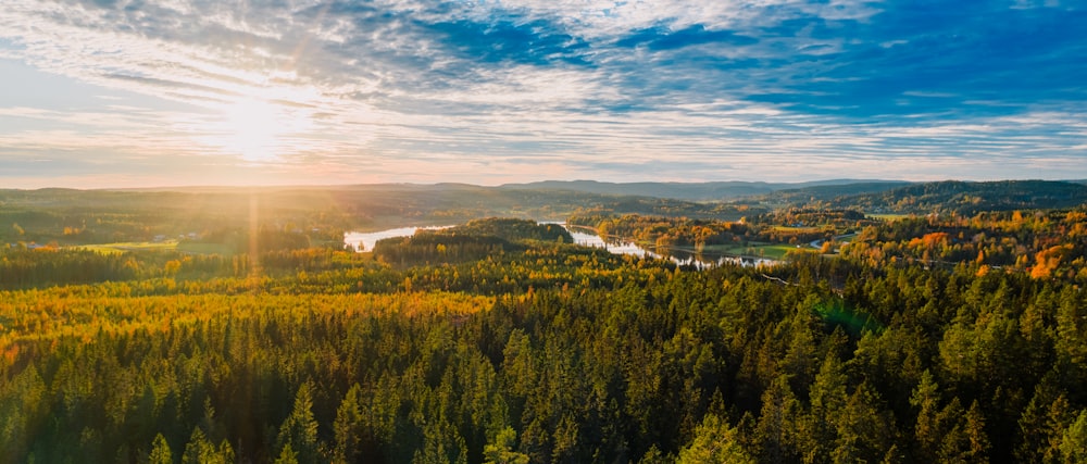 a scenic view of a forest with a river running through it