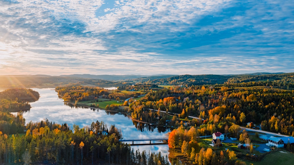 an aerial view of a lake surrounded by trees