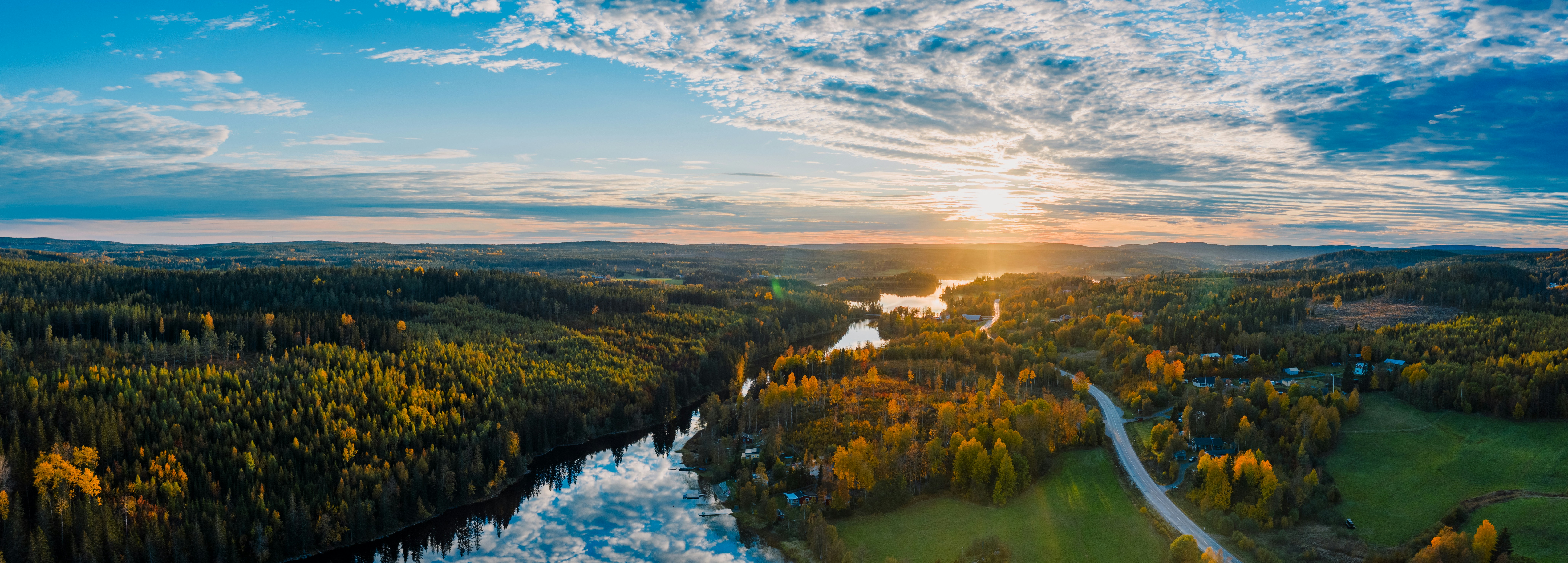 an aerial view of a river running through a forest