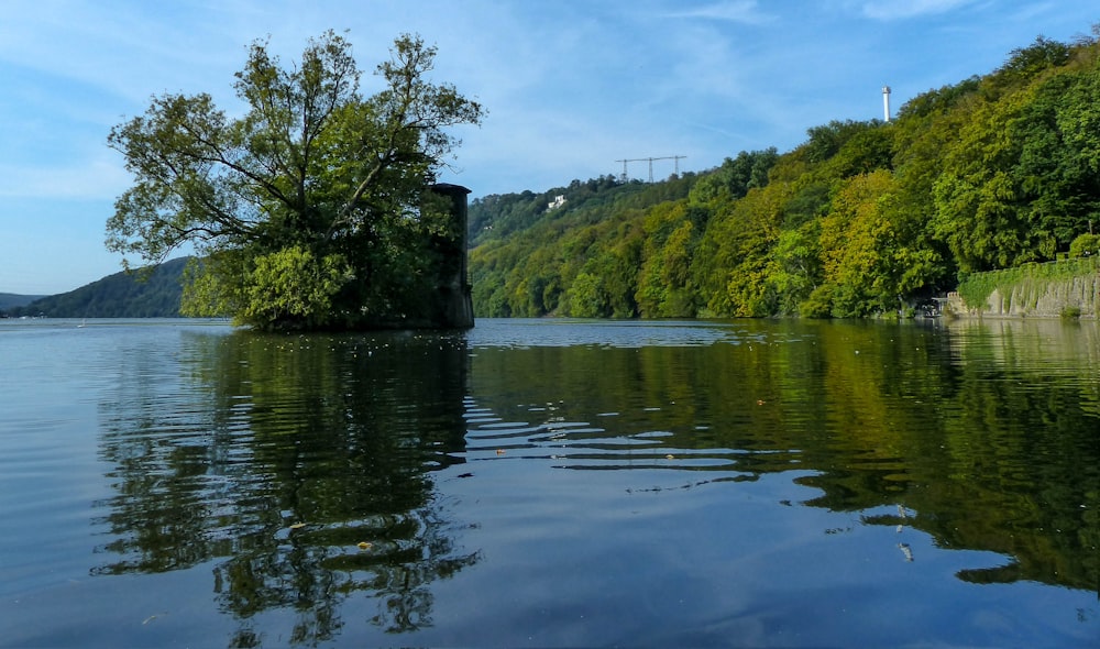 a body of water surrounded by trees and hills