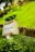 A weathered signpost labeled 'RAMPA DA GUIA' is surrounded by lush greenery, with a well-maintained lawn and hedges occupying much of the background. The scene includes a stone wall and partial view of trees, suggesting a serene outdoor setting.