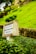 A weathered signpost labeled 'RAMPA DA GUIA' is surrounded by lush greenery, with a well-maintained lawn and hedges occupying much of the background. The scene includes a stone wall and partial view of trees, suggesting a serene outdoor setting.